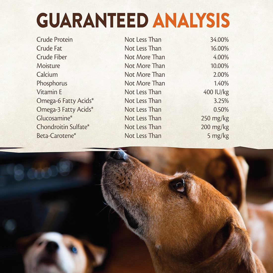 Comida seca natural para perros