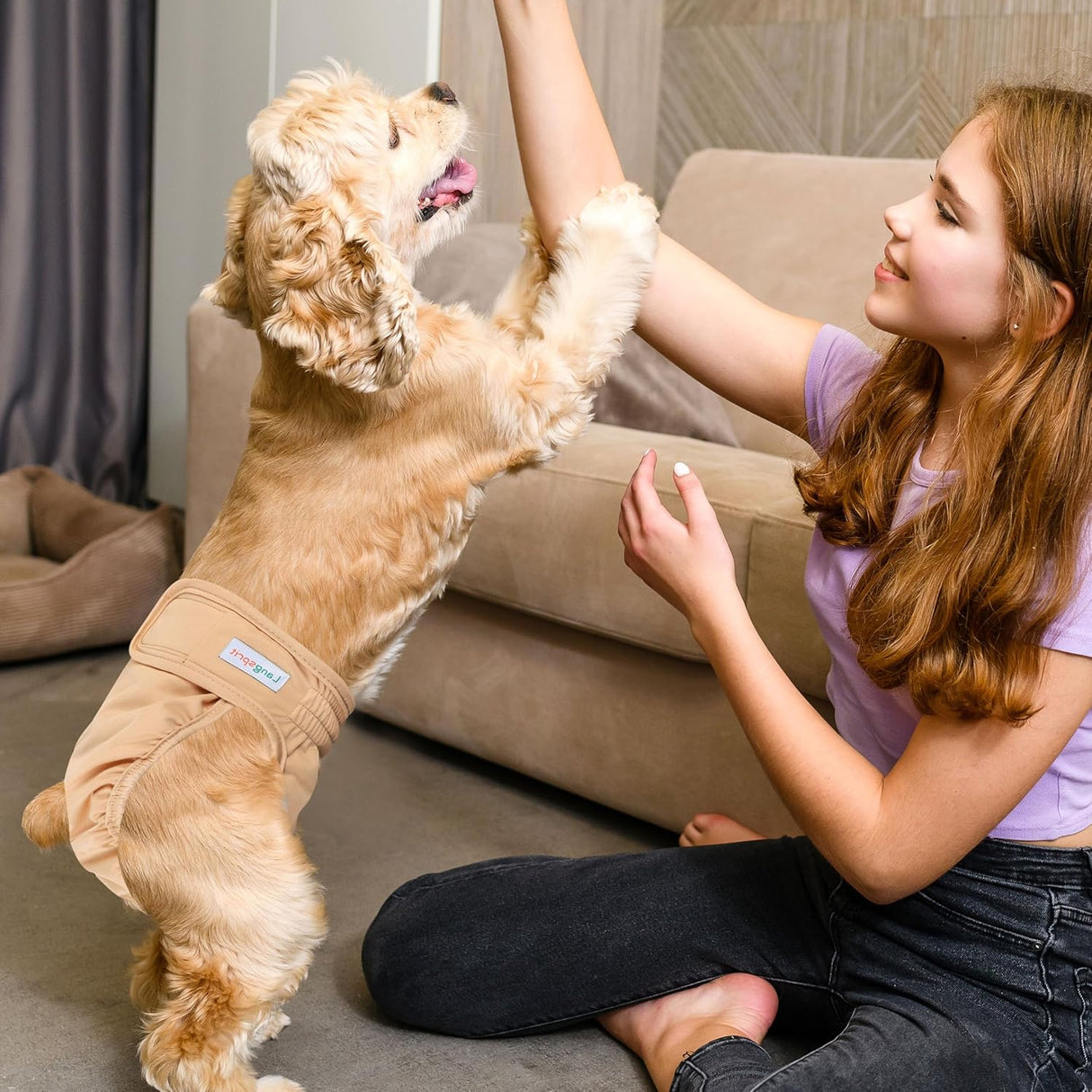 Langsprit Pañales lavables para perras (paquete de 3) talla S