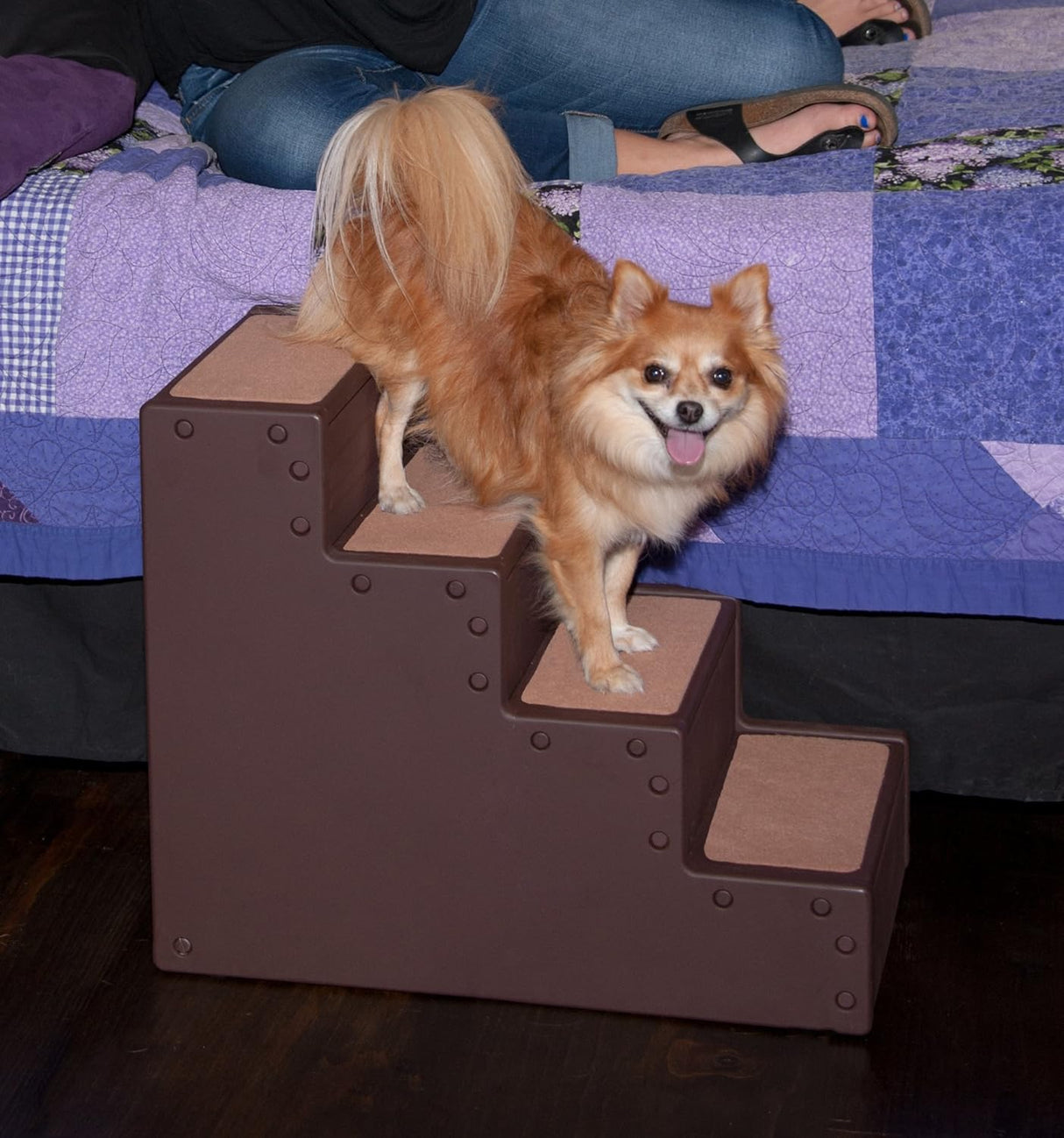 Escalera IV para perros de hasta 50 libras AM9640CH Pet Gear