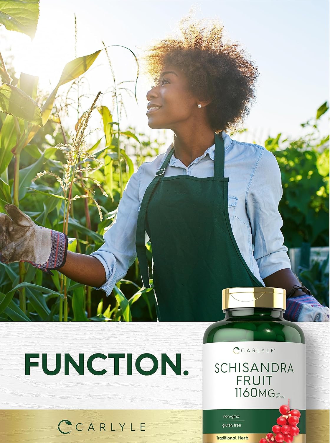 Carlyle Schisandra Suplemento 1160 mg | 200 cápsulas