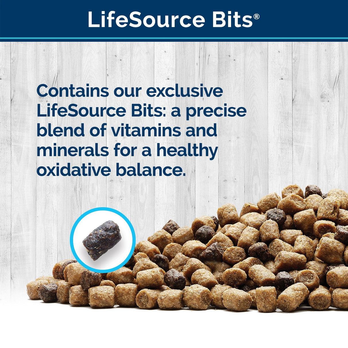 Comida seca para gatos, pollo y arroz integral 15 lb