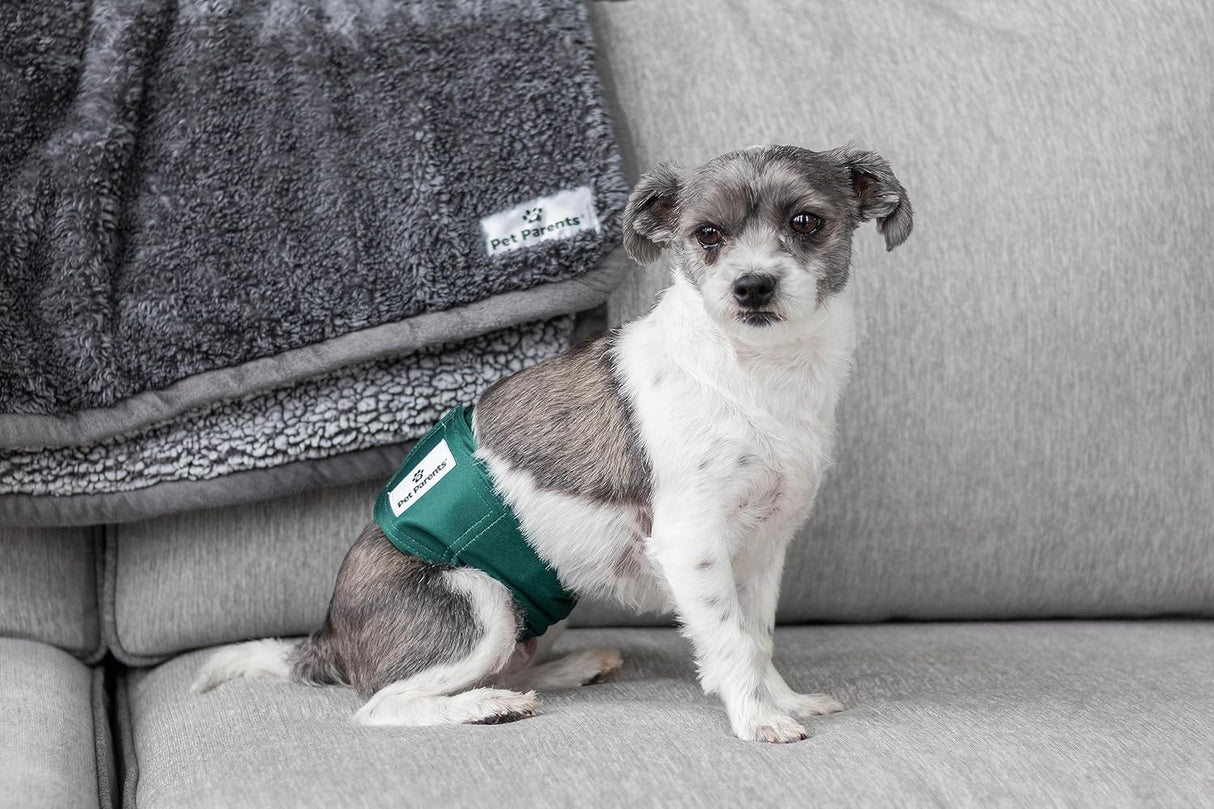 Pet Parents Bandas vientre lavables alta calidad extensores