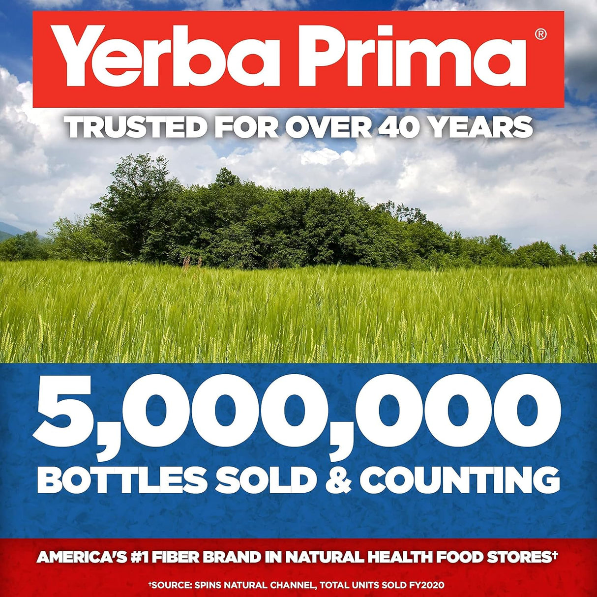 Yerba Prima Psyllium Natural - Fibra Dietética 20 oz