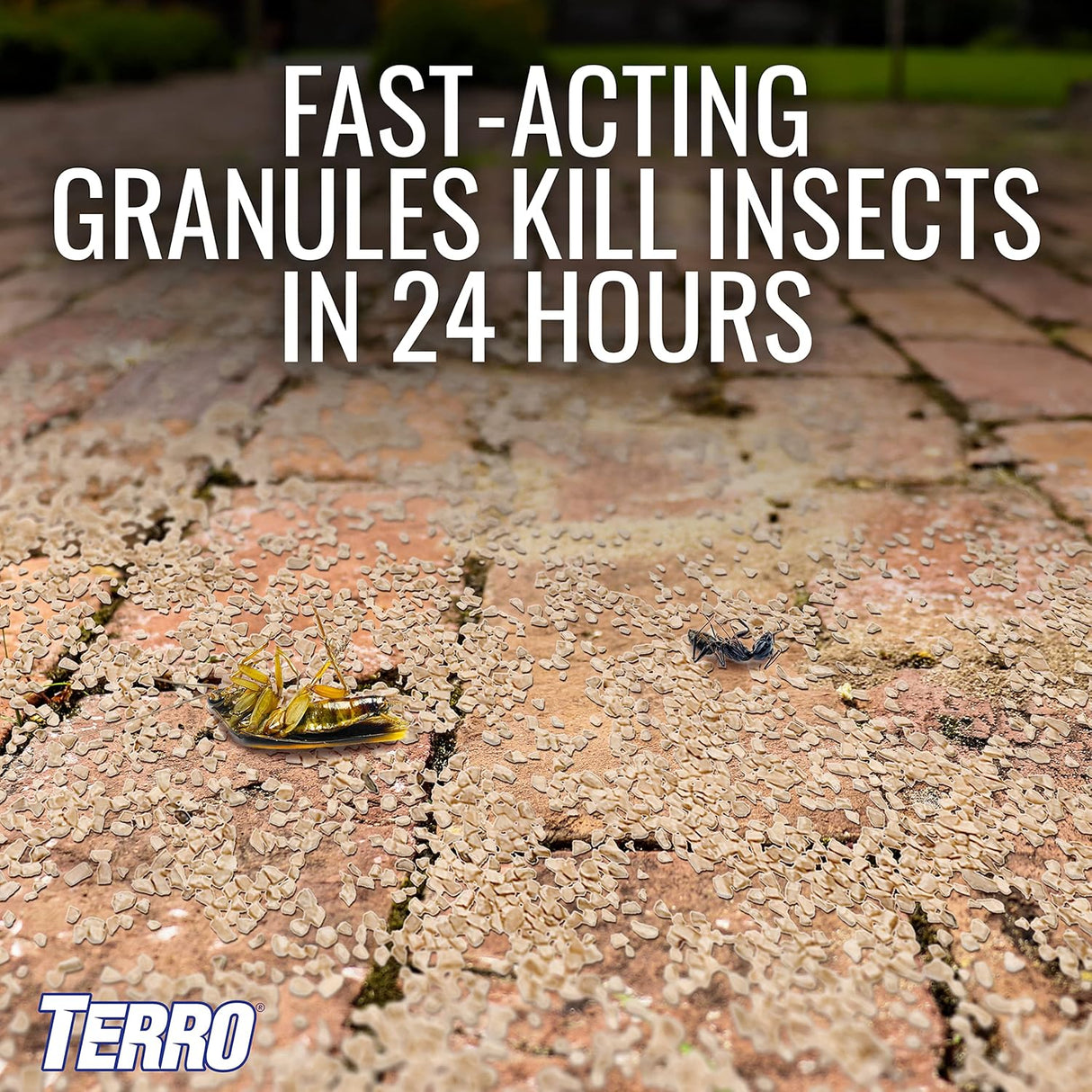 Ant Killer Multiusos TERRO T901-6 - 3lb, Mata Insectos