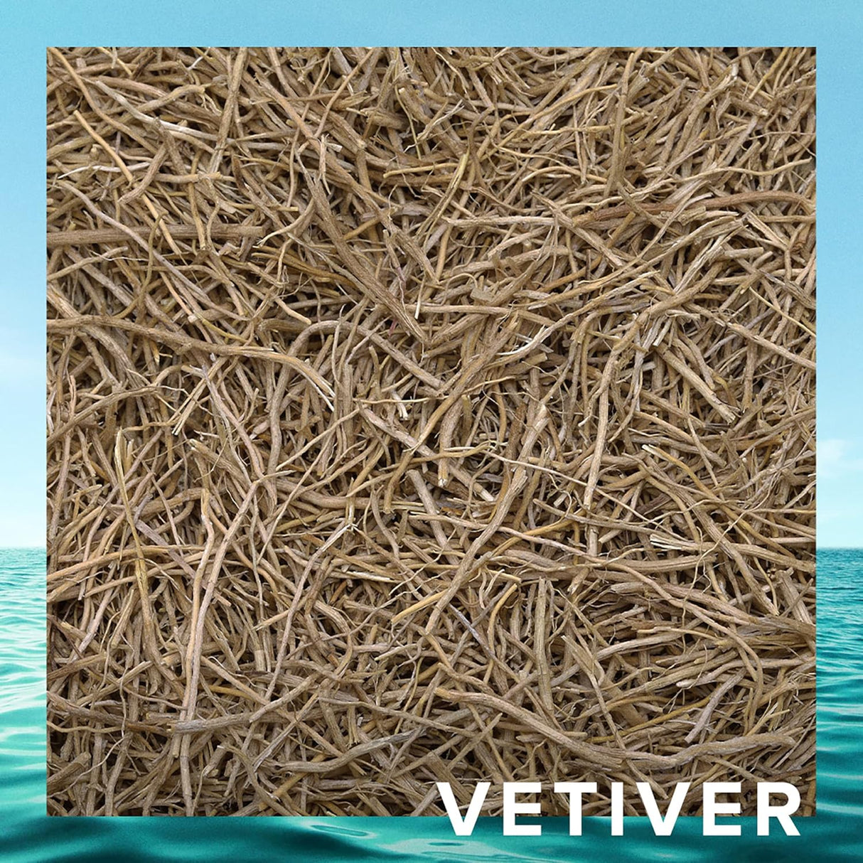 Perfumes Cristiano Ronaldo Origins para hombres