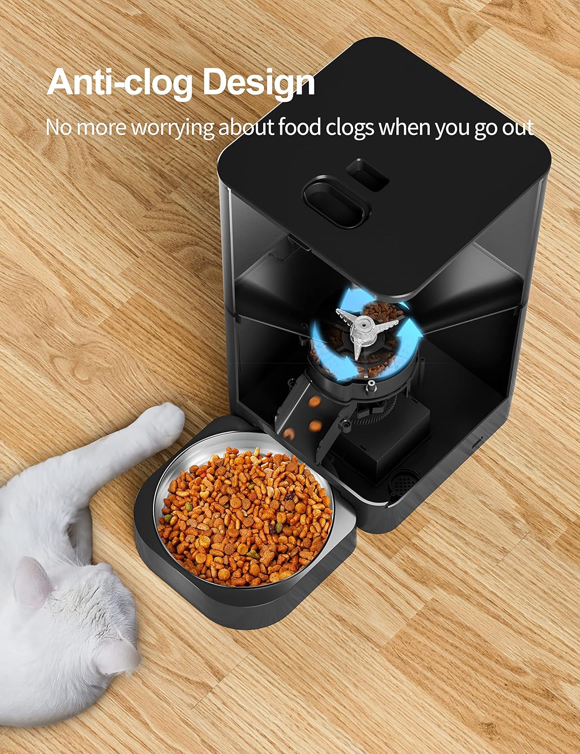 Dispensador de alimentos secos para gatos con temporizador