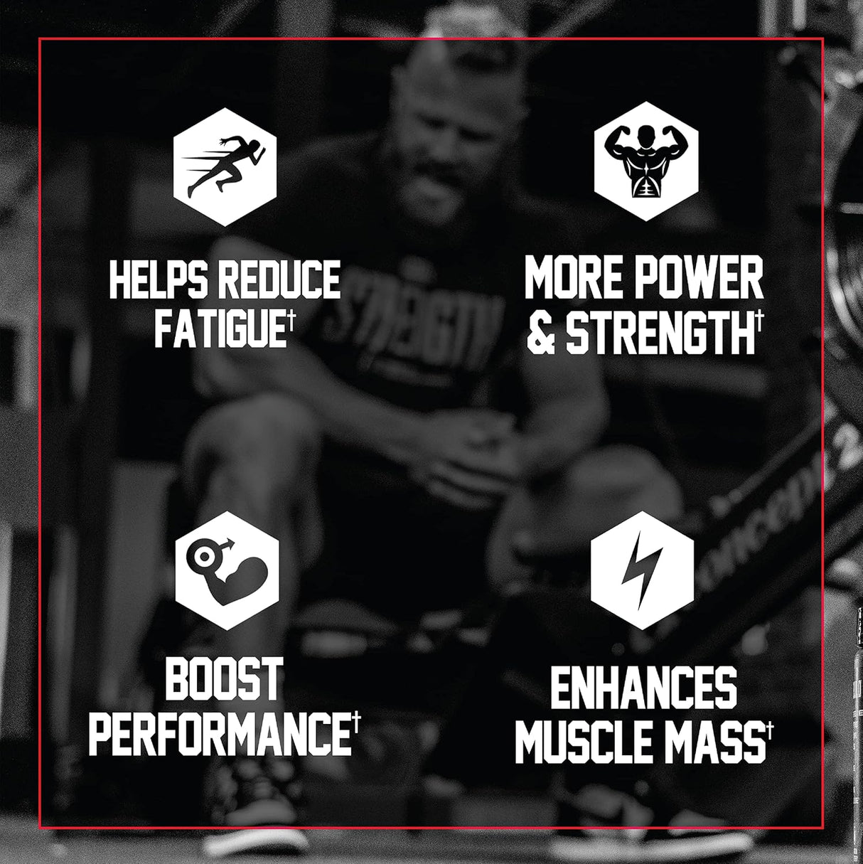 Suplementos Alimenticios Polvo monohidrato de creatina