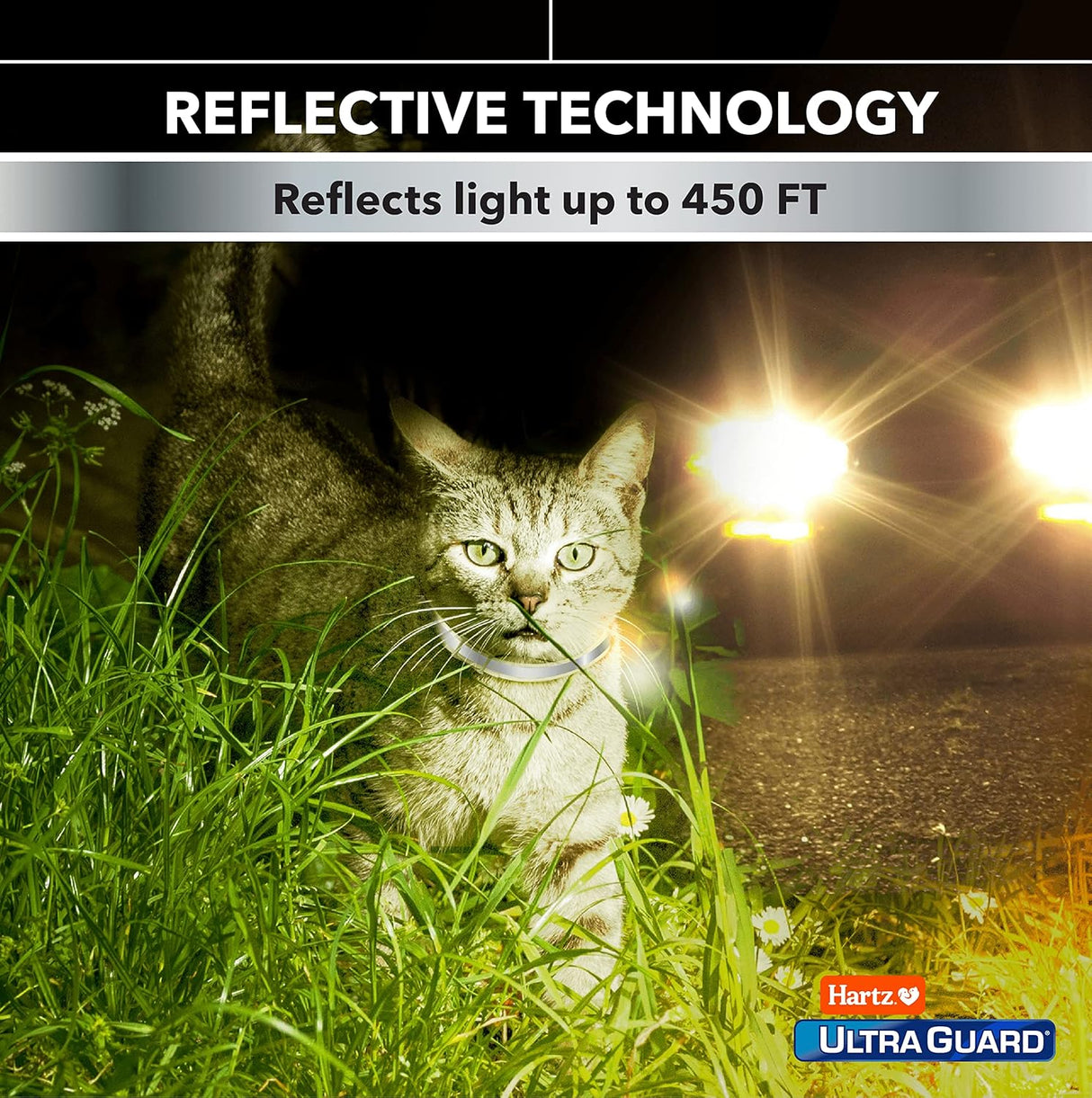 Collar para pulgas y garrapatas para gatos y gatitos