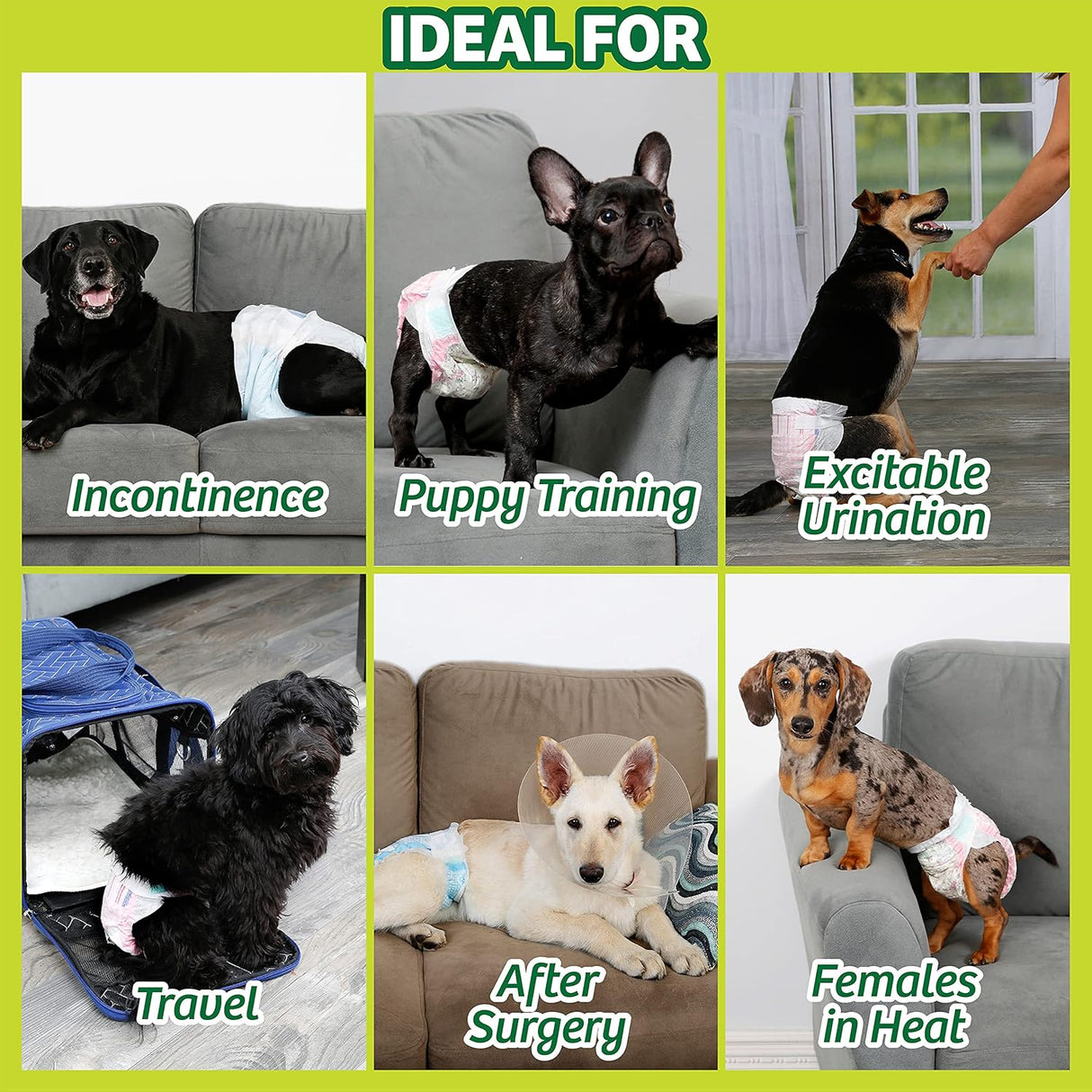 Pañales desechables para perros con tecnología FlashDry Gel - M, 32 unidades