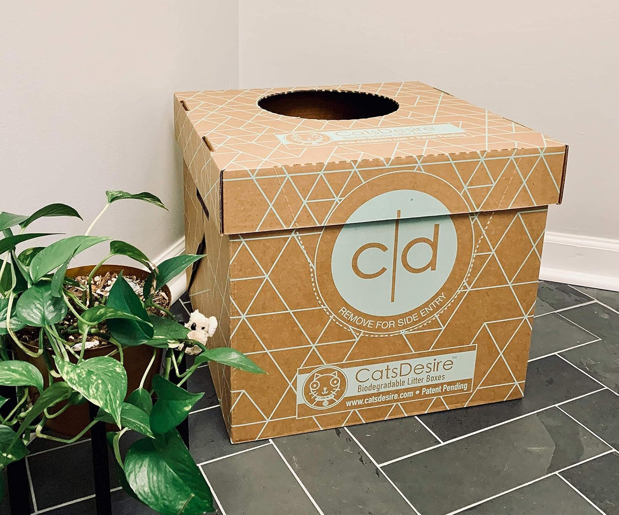 Caja de arena biodegradable de entrada superior o lateral