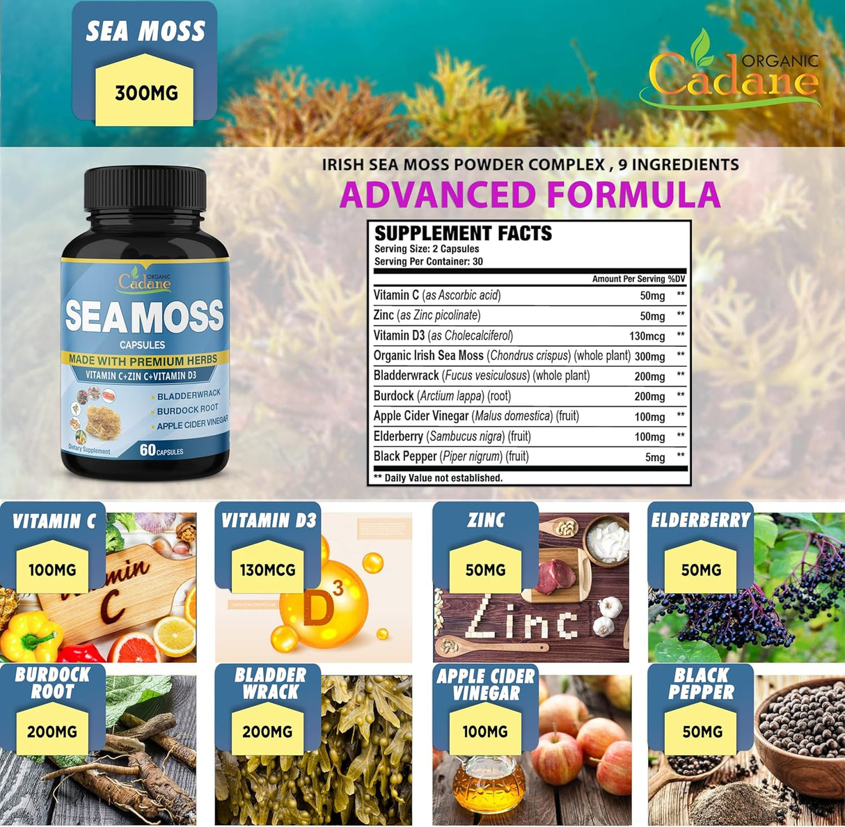 Cadane Cápsulas de Musgo de Irlanda con Vitaminas y Hierbas, 2Pack
