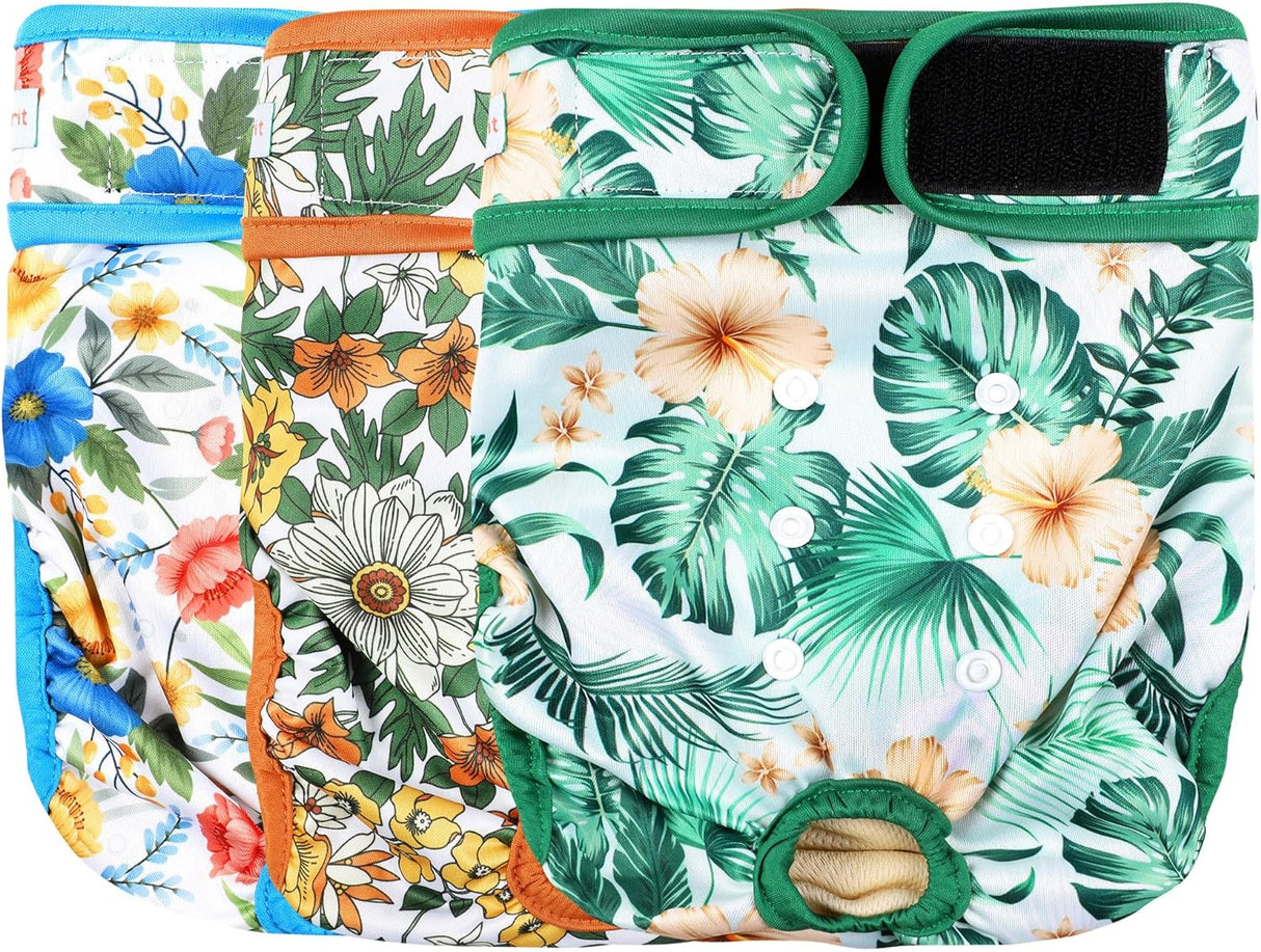 Langsprit - Pañales lavables para perro hembra calzones