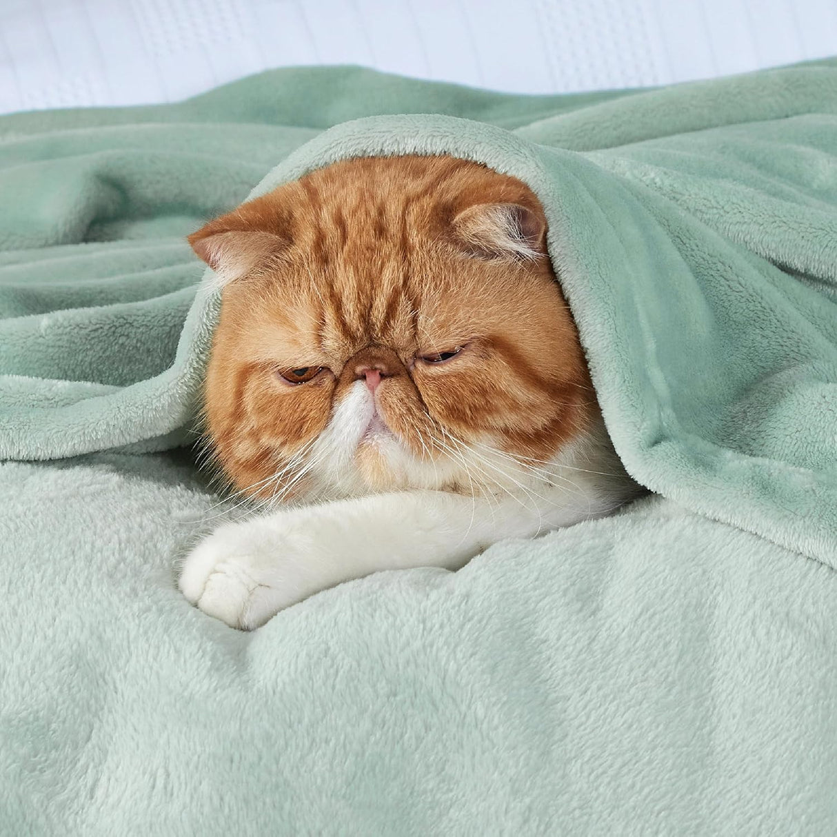 Manta de Felpa Bedsure, 300GSM Suave y Ligera, Modelo Jadeite