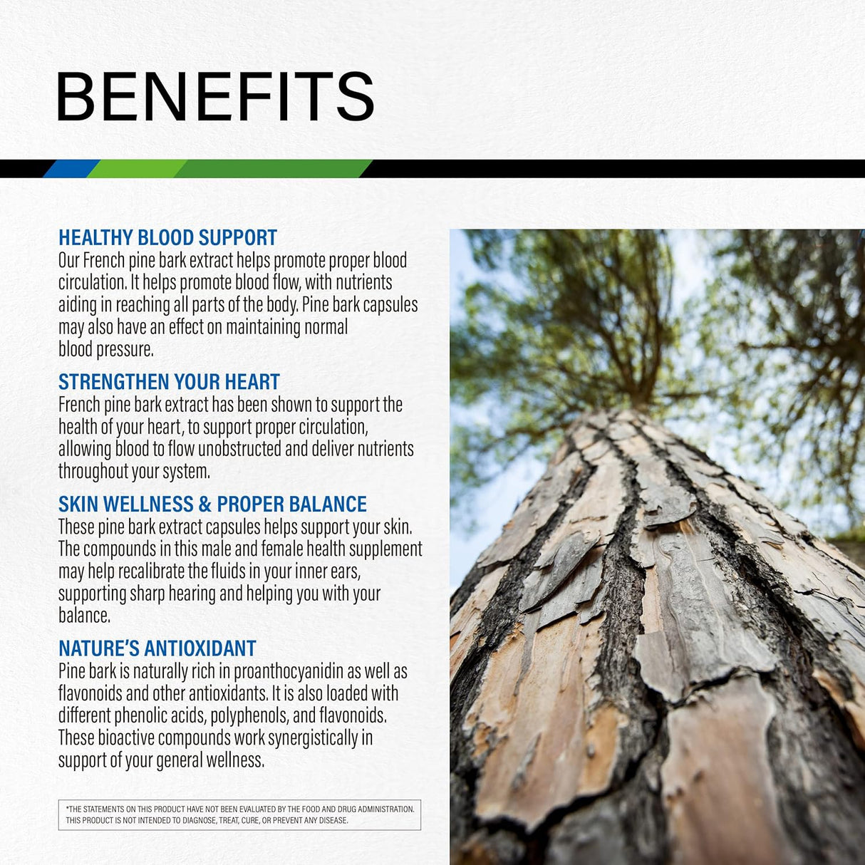 Suplementos Alimenticios de corteza de pino francés marítimo