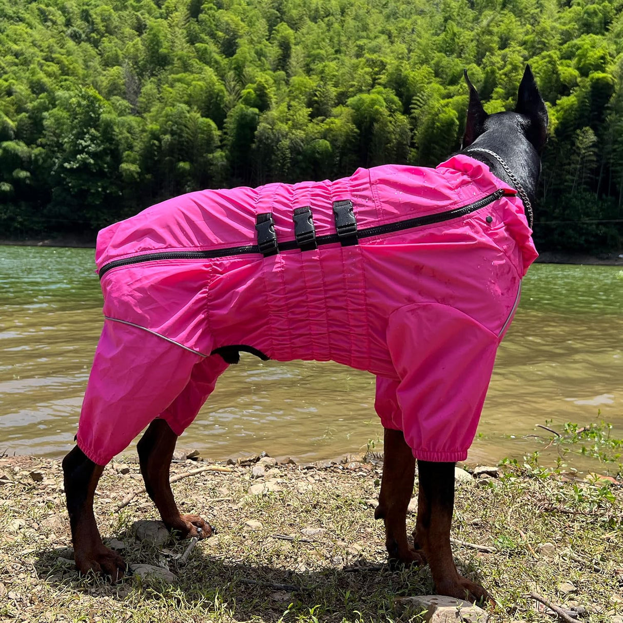 Chubasquero para perros, impermeable, reflectante, XXL