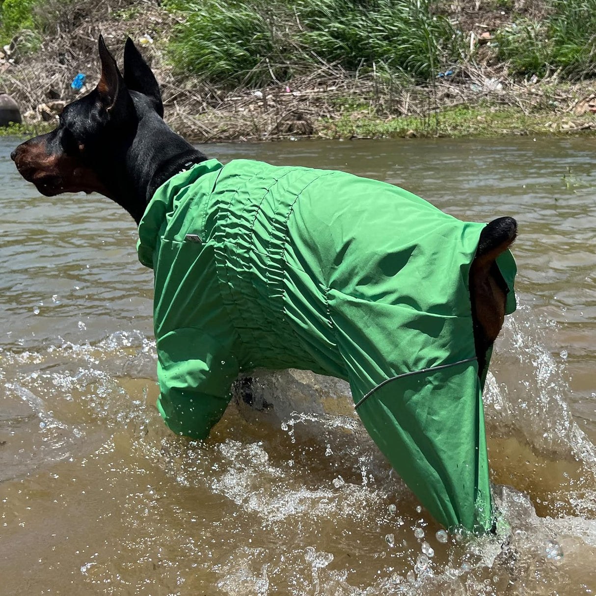 Chaqueta impermeable para perros, ligera, reflectante, XXL