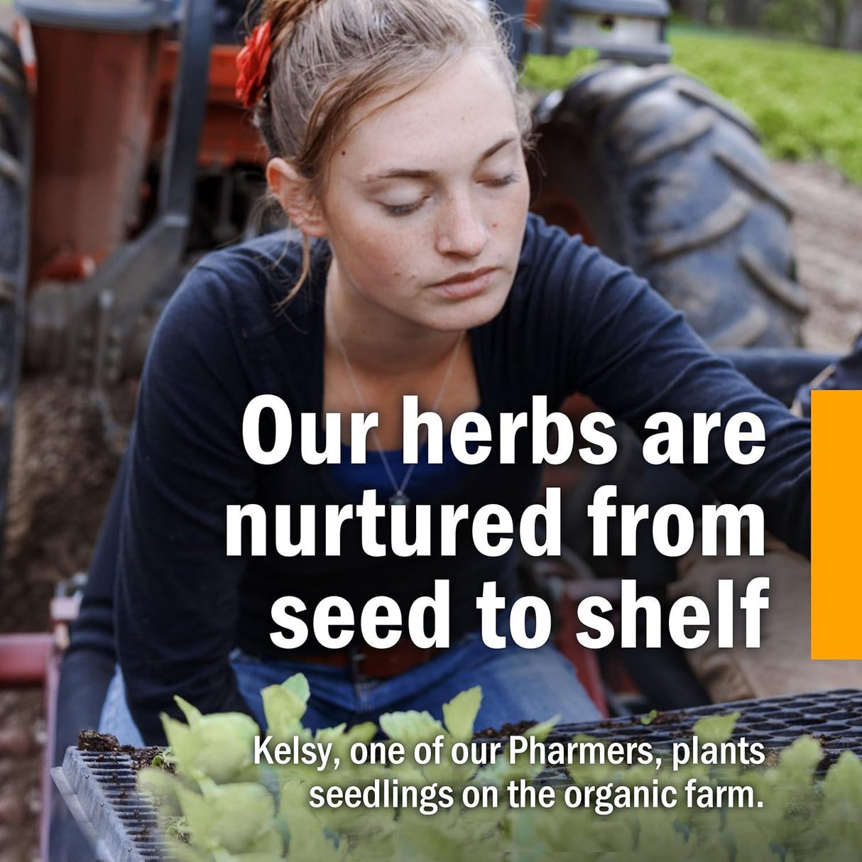 Suplemento equinácea orgánica para defensa inmune 1 onza