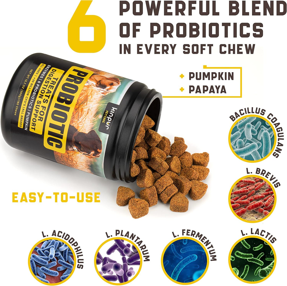 Probióticos para perros, Apoya la salud intestinal, alergias