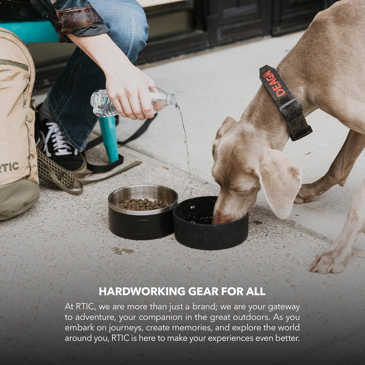 Cuenco 3 en 1 para Perros RTIC, Acero Inoxidable, Grande