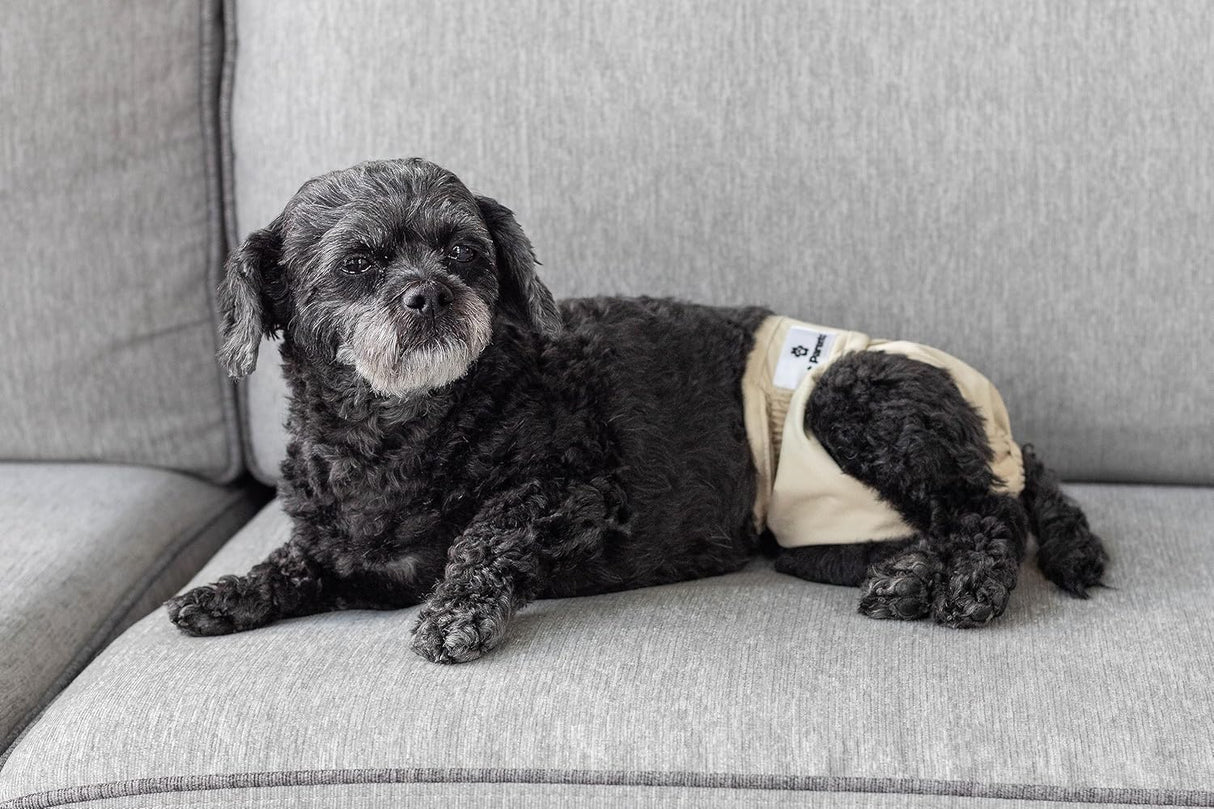 Pet Parents Pañales y extensores lavables perros medianos