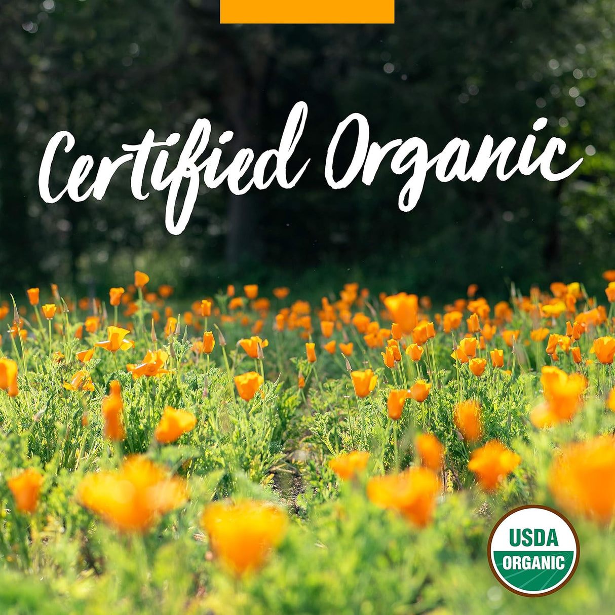 Suplemento Extracto líquido de alcachofa orgánico 30 ml