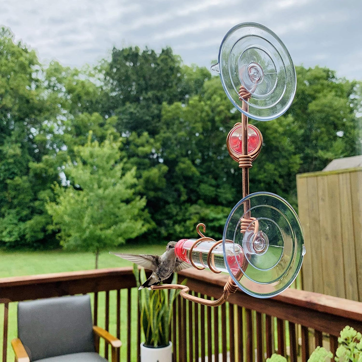 Comedero para colibríes de ventana de aluminio SWEET FEEDERS