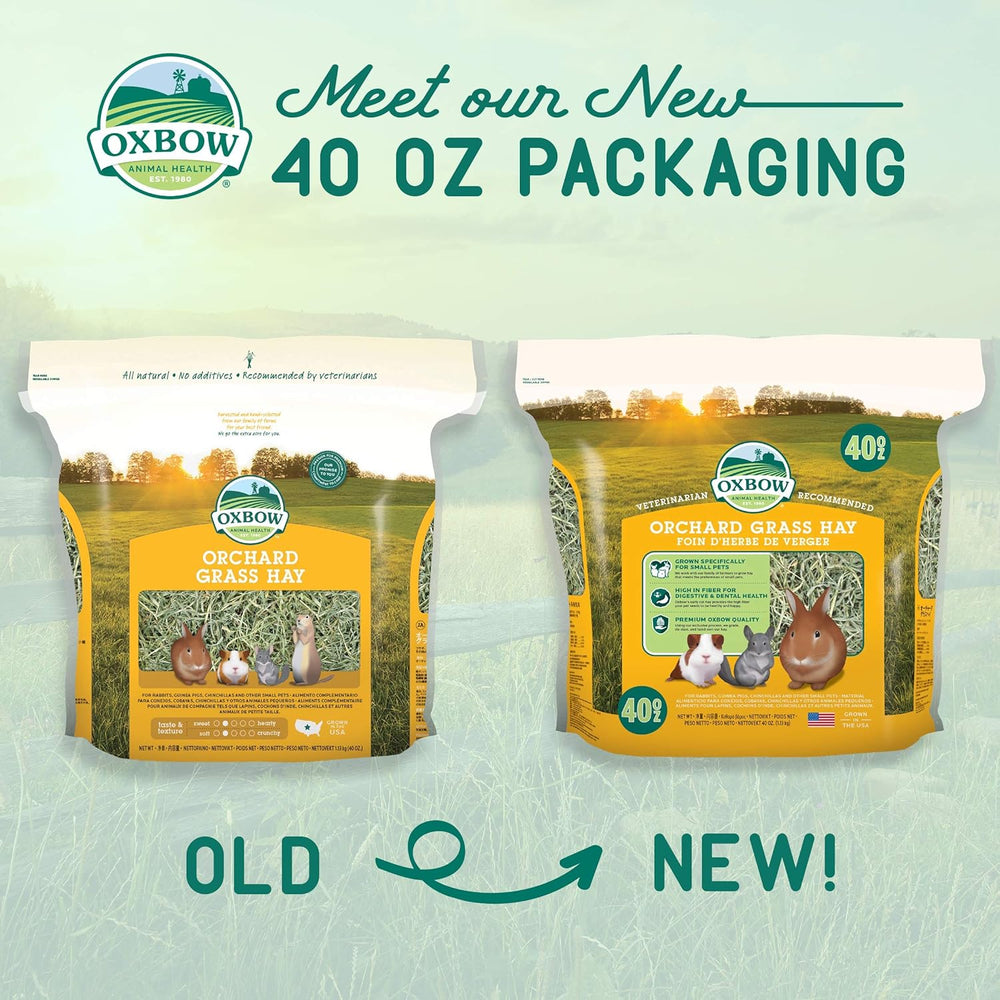 Heno de Hierba Orchard Oxbow - Rico en Fibra - 40 oz.