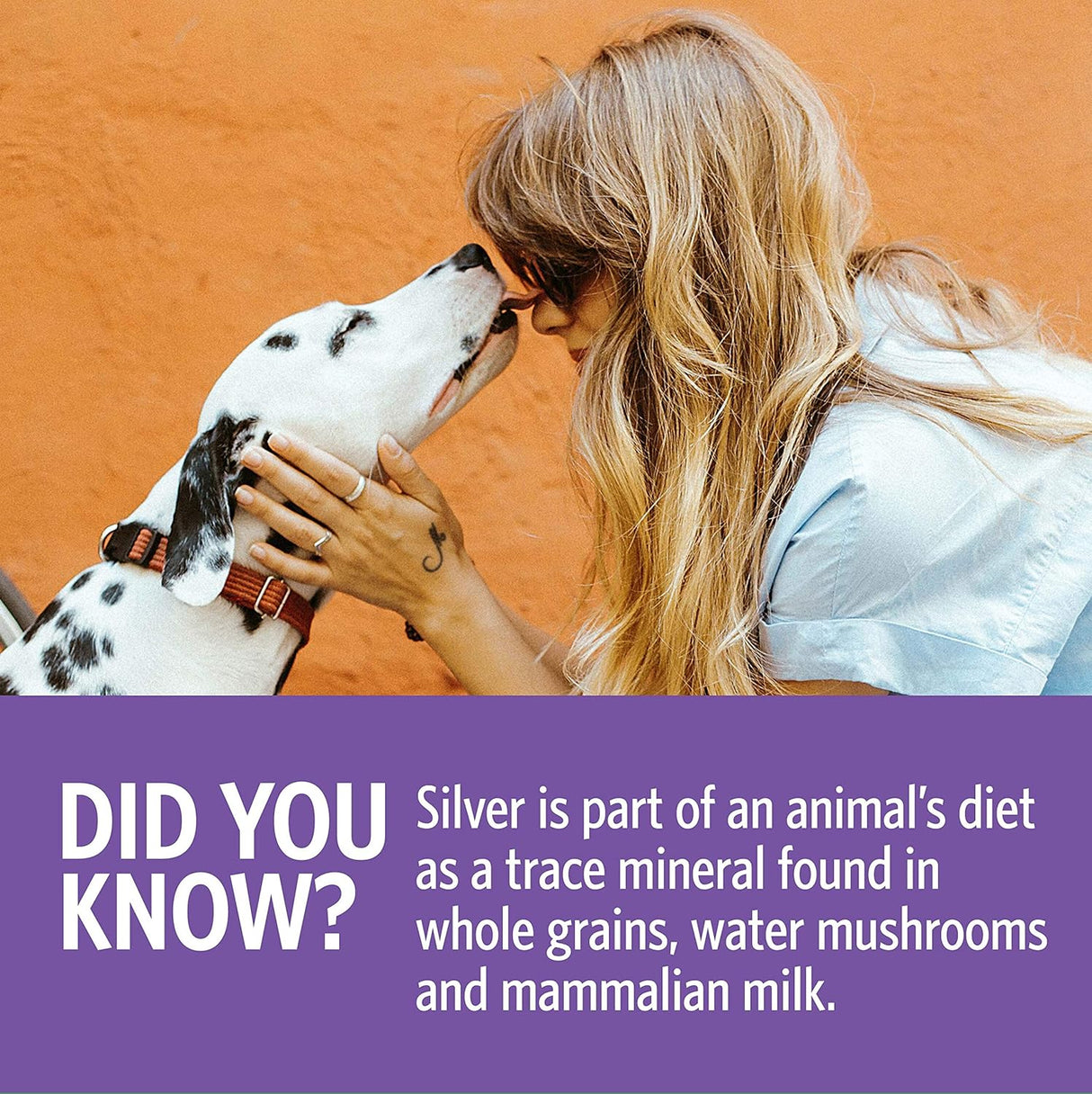 Suplementos Alimenticios Hydrosol plateado para mascotas