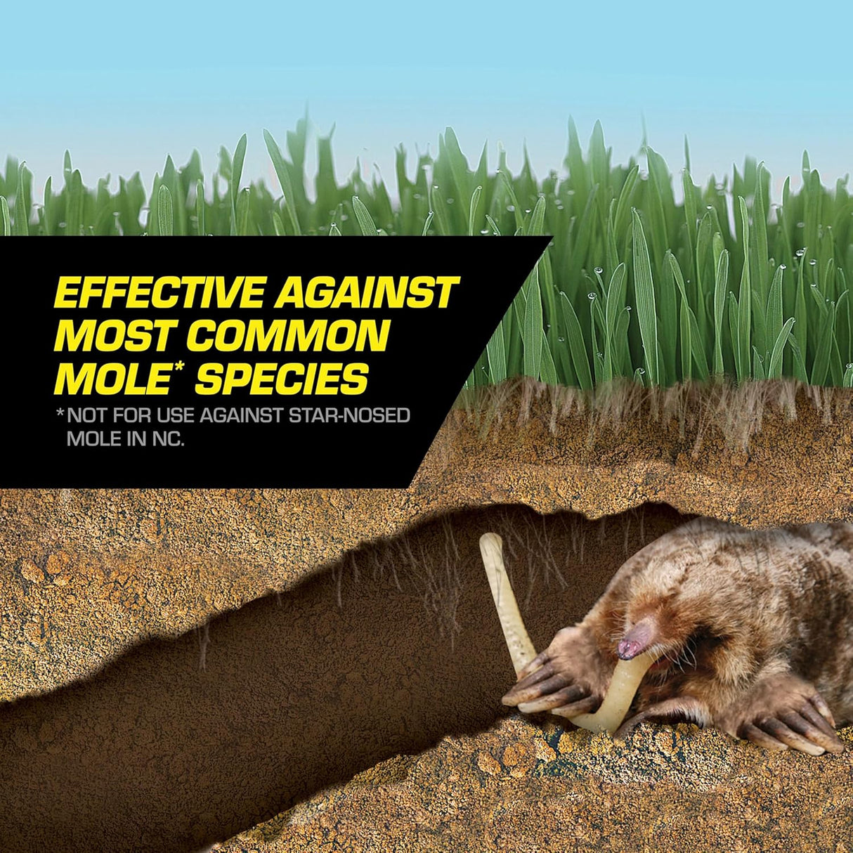 Tomcat Asesino de Topos, Imita Comida Natural, 10 Gusanos