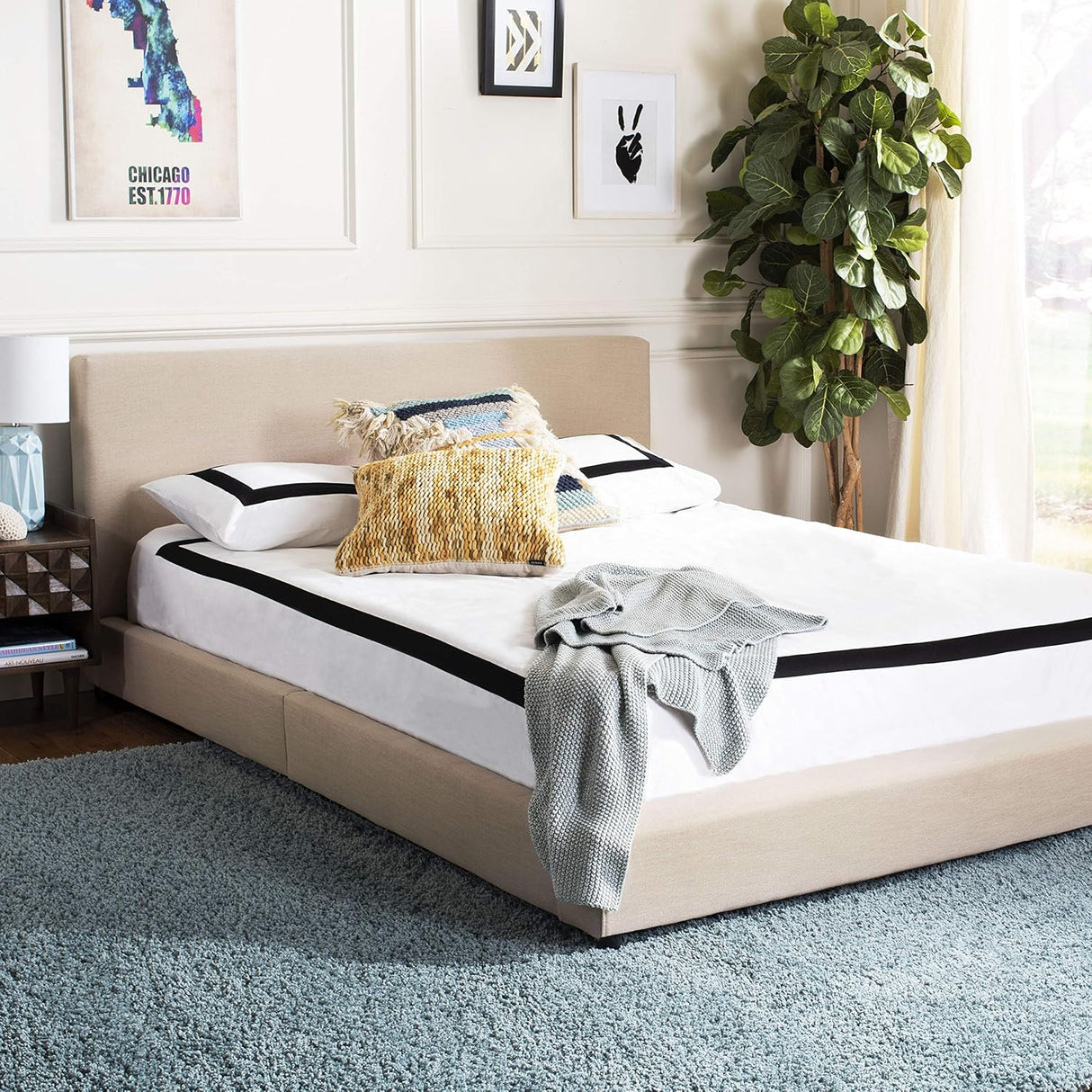 Alfombra Área Shag Premium 2 Pulgadas SG151