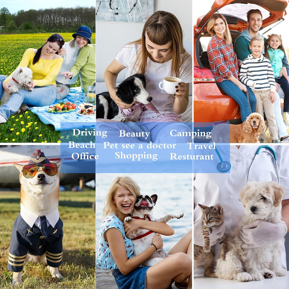 Transportador de Gato Perro Cat Dog Carrier, Expandible, Grande