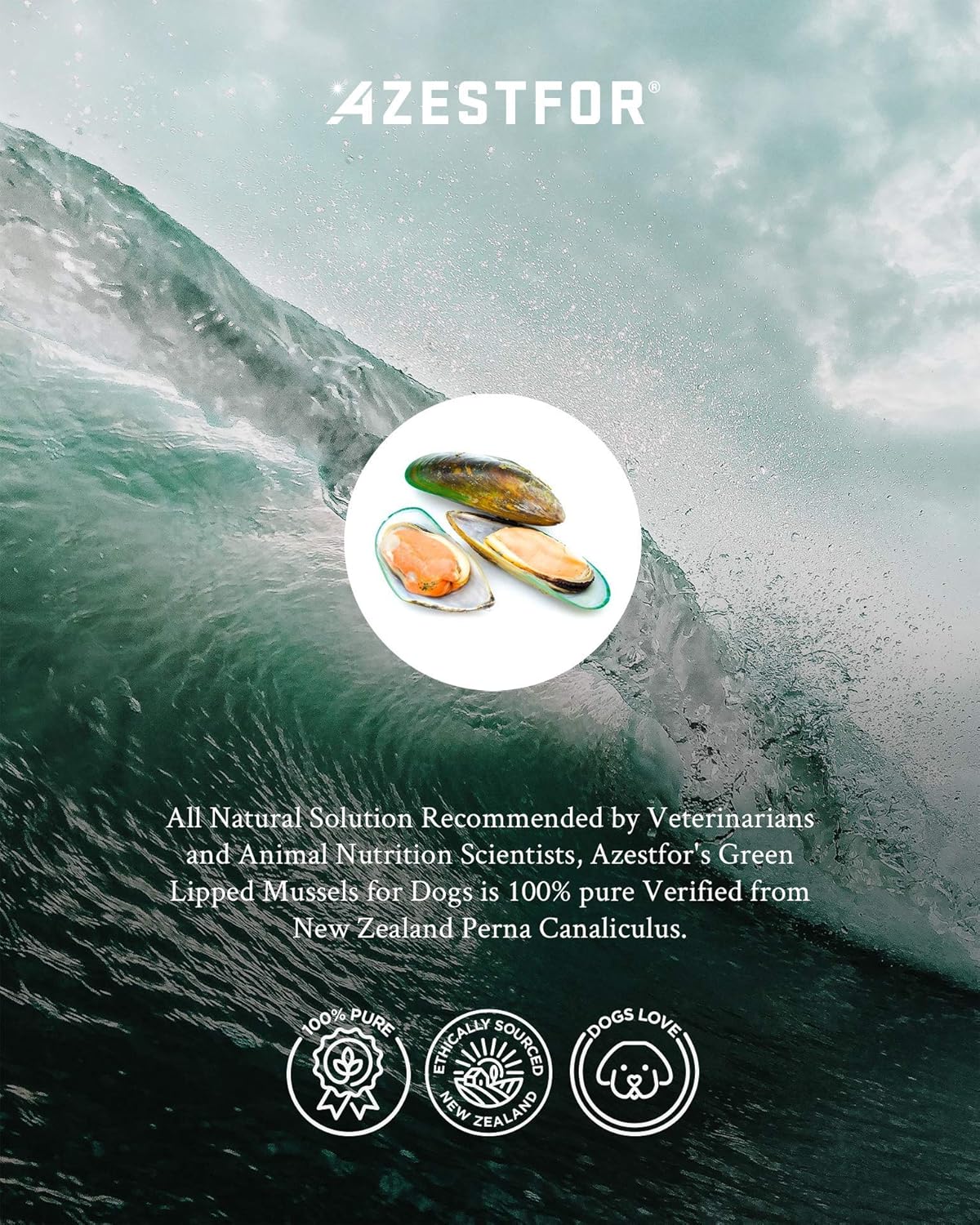 Vitaminas mejillón labial antiinflamatorio para perros