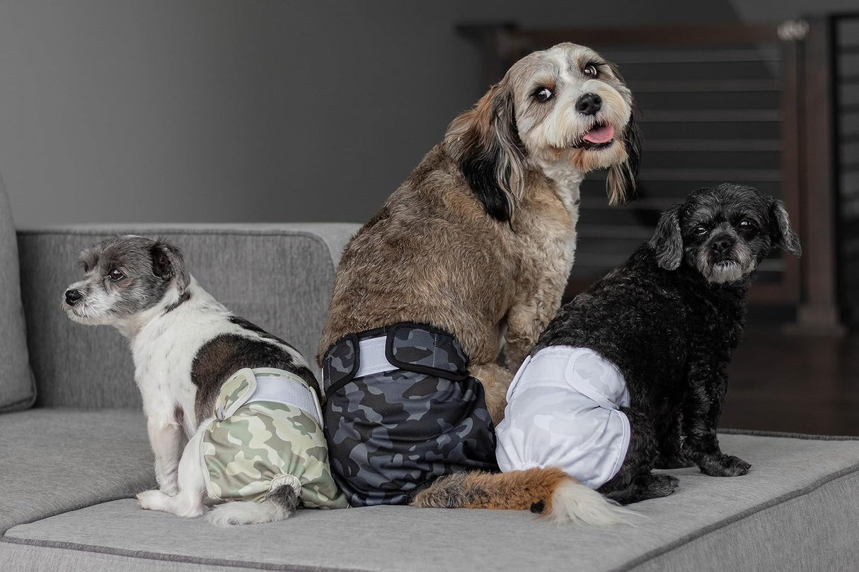 Pet Parents Pañales 3 y extensores lavables de alta calidad