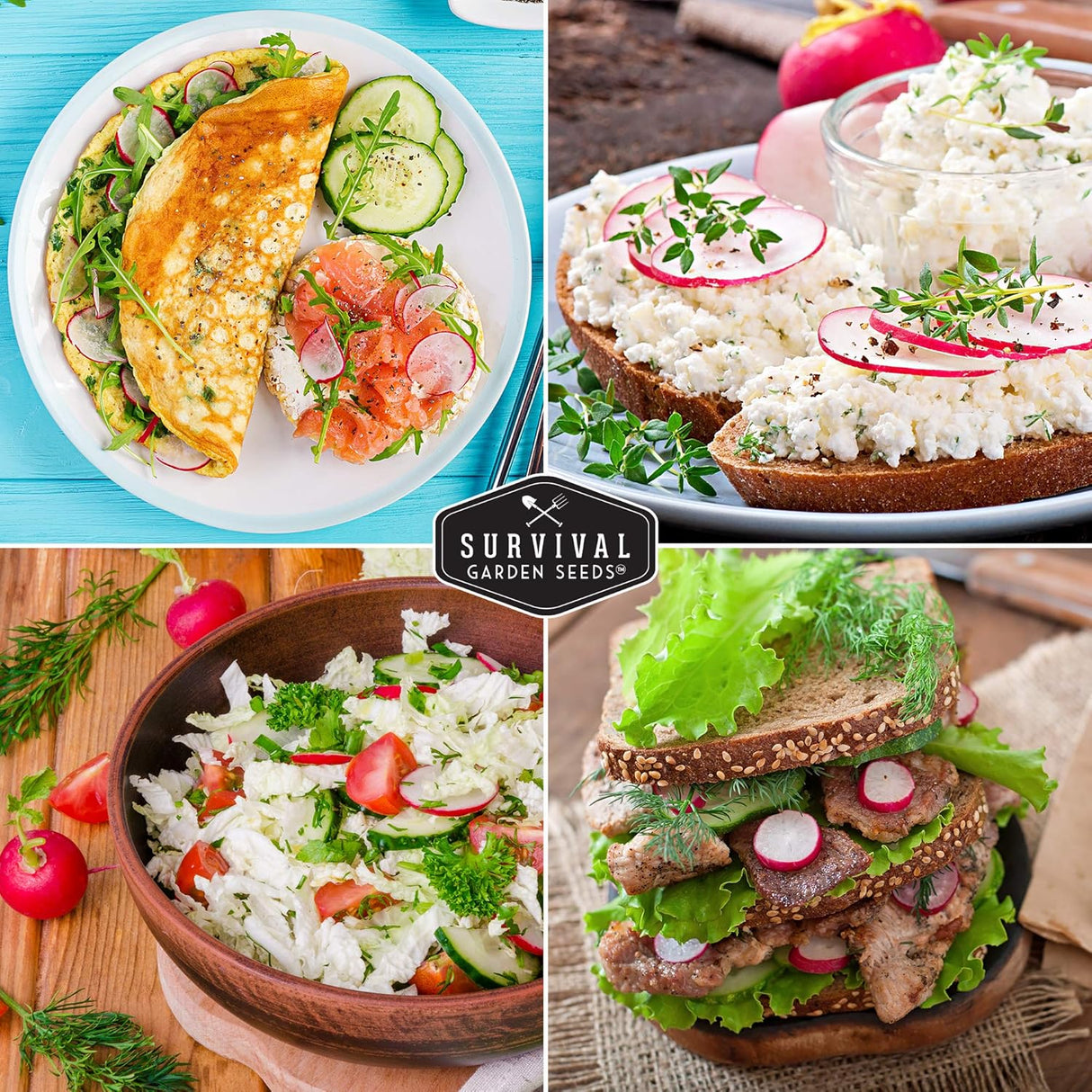 Semillas de Rábano Champion - Survival Garden Seeds - No-GMO