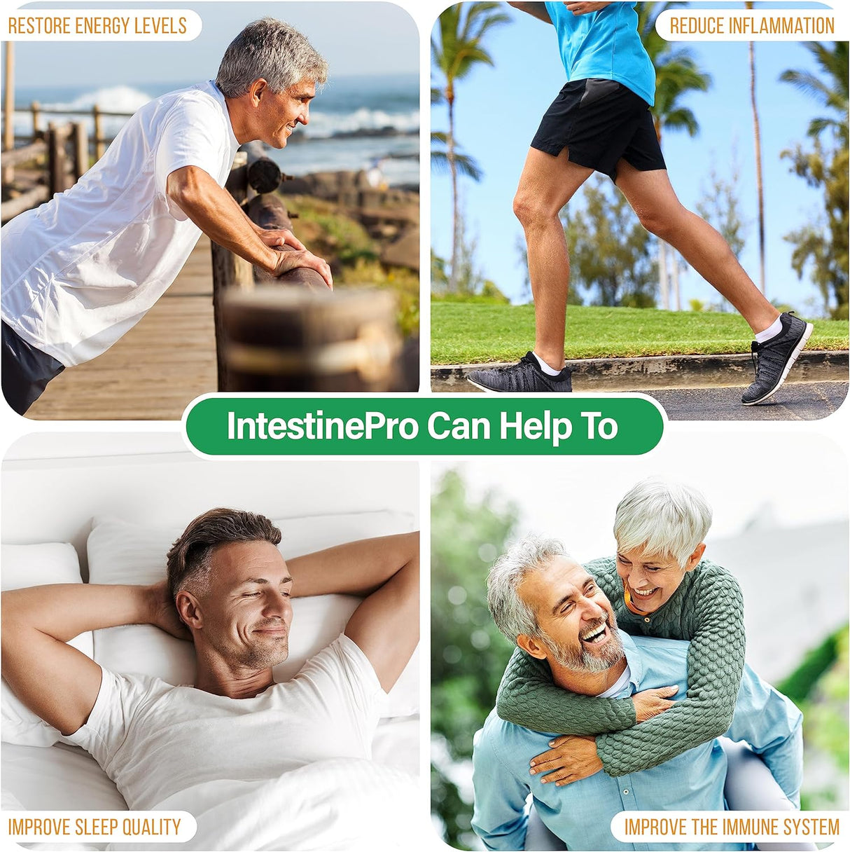 Suplemento IntestinePro de 10 días para personas con ajenjo