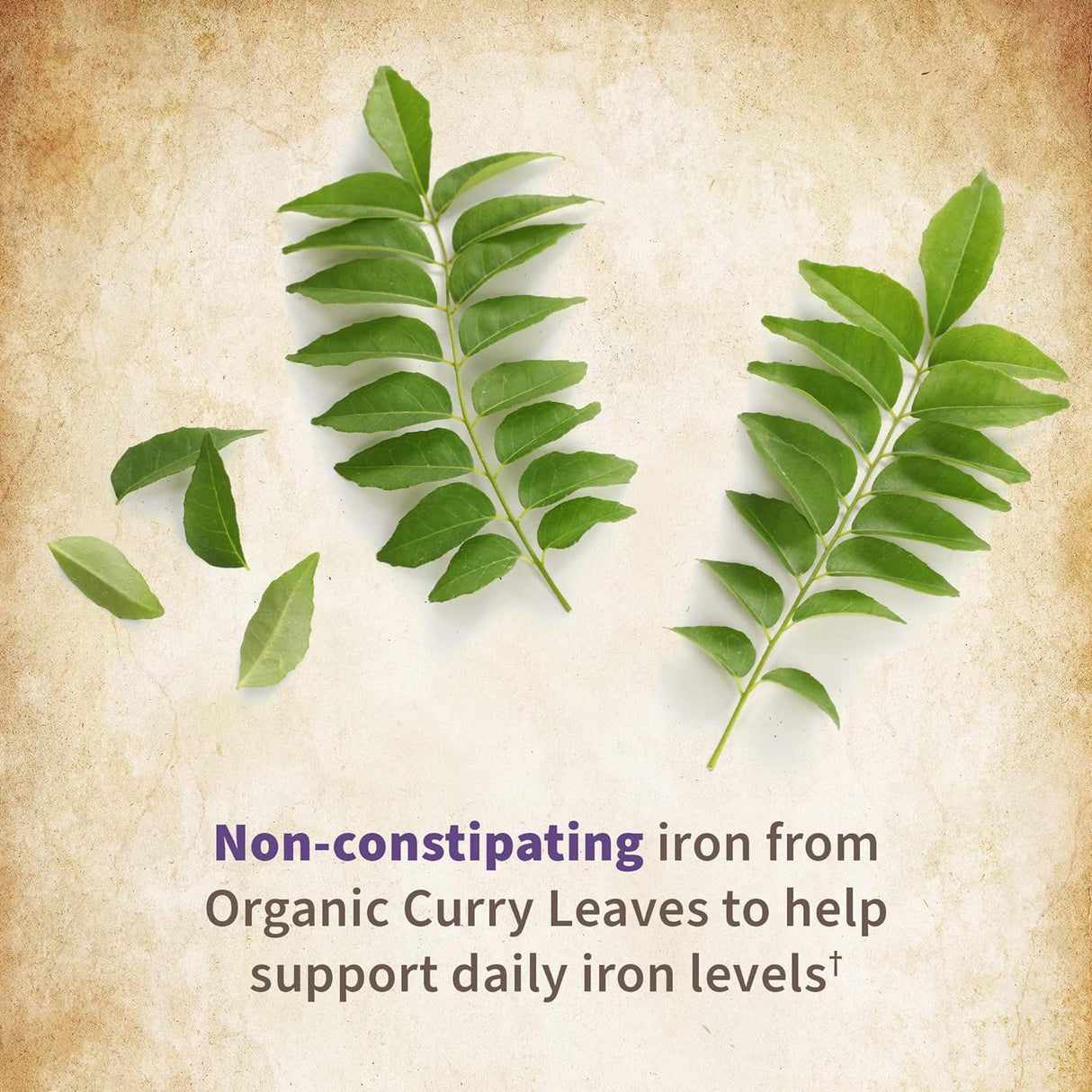 Suplemento Garden of Life mykind Organics prenatales 30 und