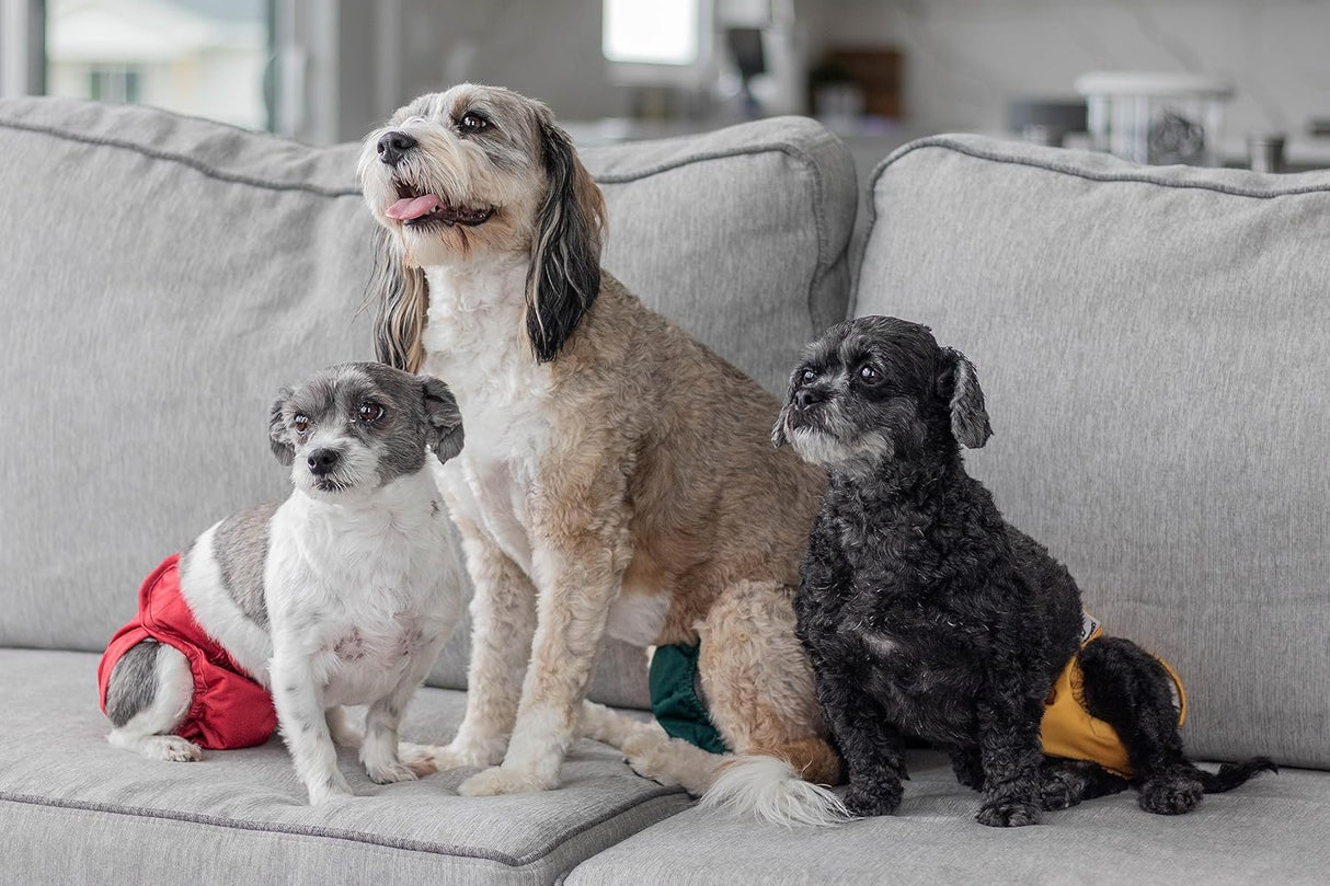 Pet Parents Pañales y extensores lavables prémium Samba, tamaño