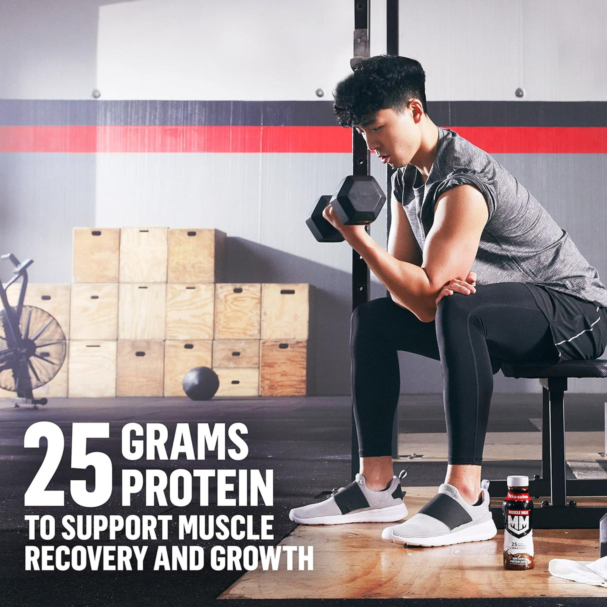 Suplemento Batido de proteínas auténticas chocolate 12 pack