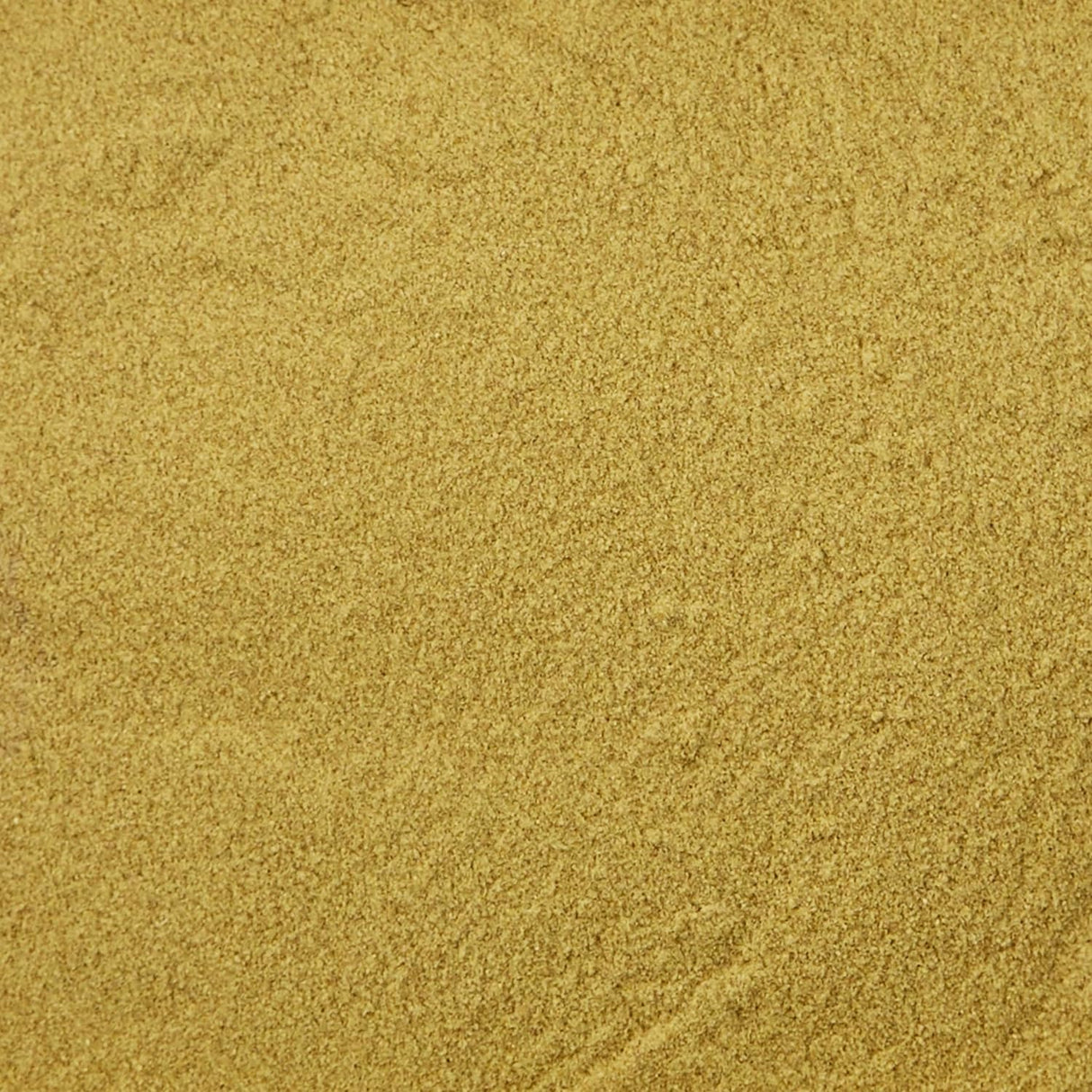 Kaytee Alimentación manual exacta para loros periquitos