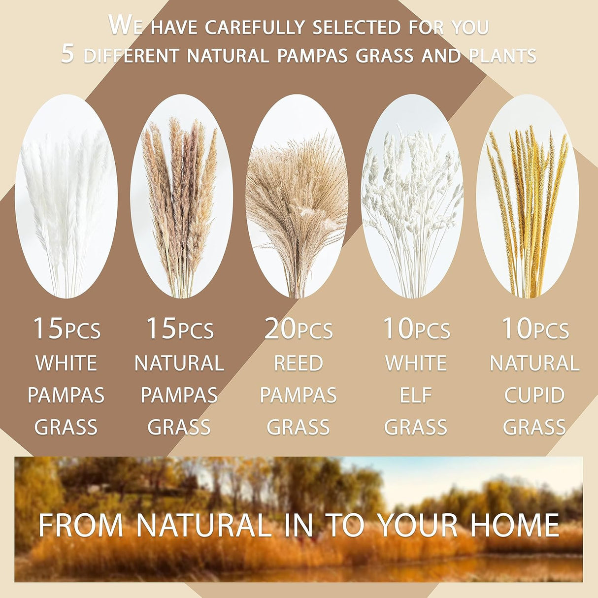 Ramo de Hierba Pampa Seco 70PCS Boho para Decoración
