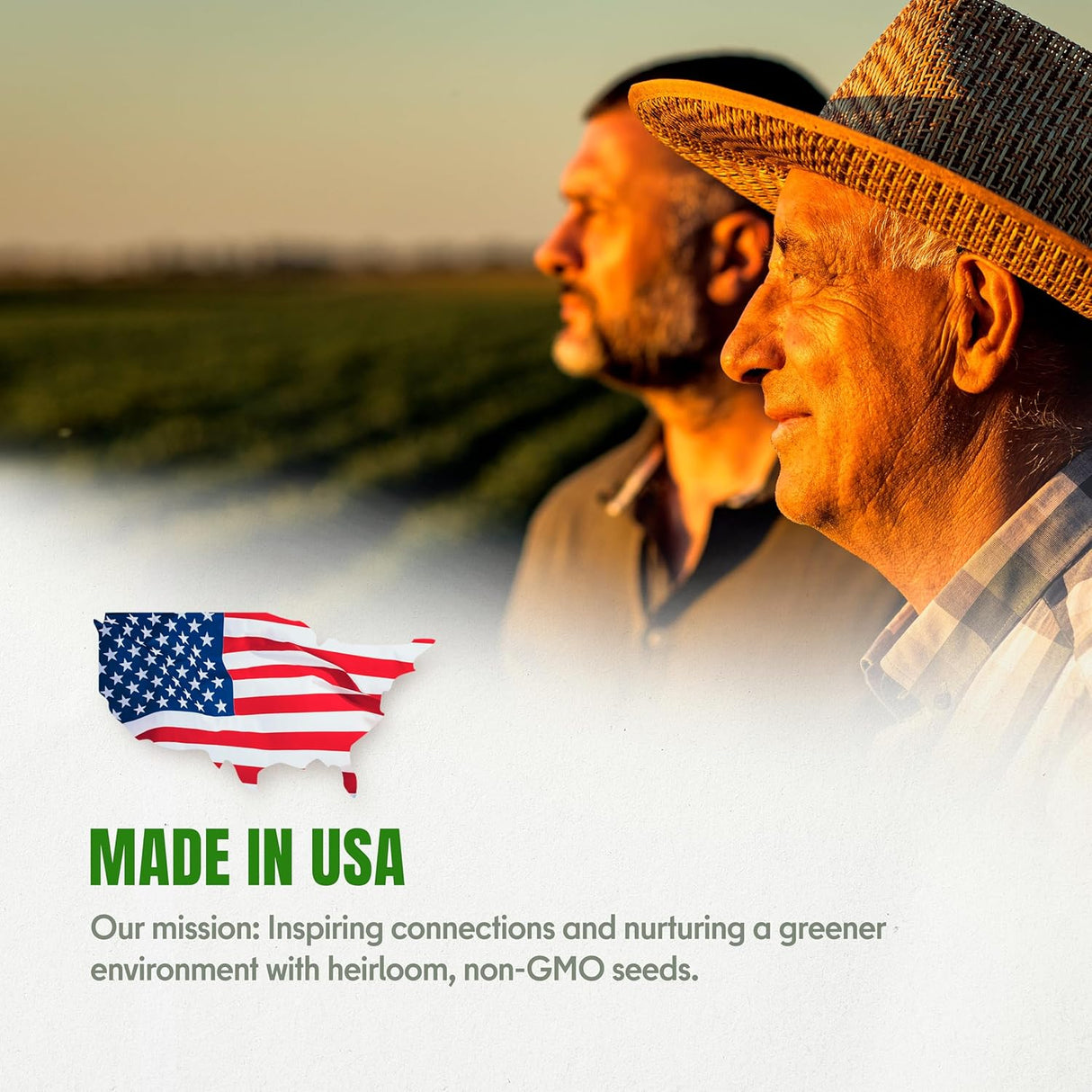 Pack de Semillas de Lechuga y Ensaladas - Variedad Heirloom 7300+