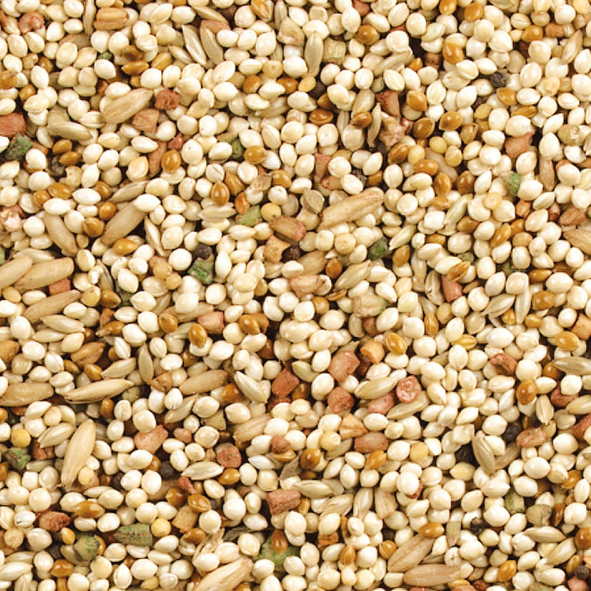 Alimento Wild Harvest Dieta nutricional para pajaro