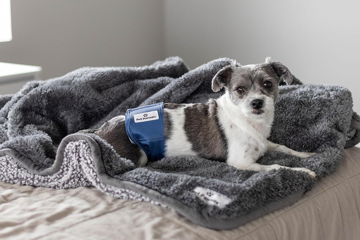 Pet Parents Bandas vientre lavables de alta calidad perros medianos machos