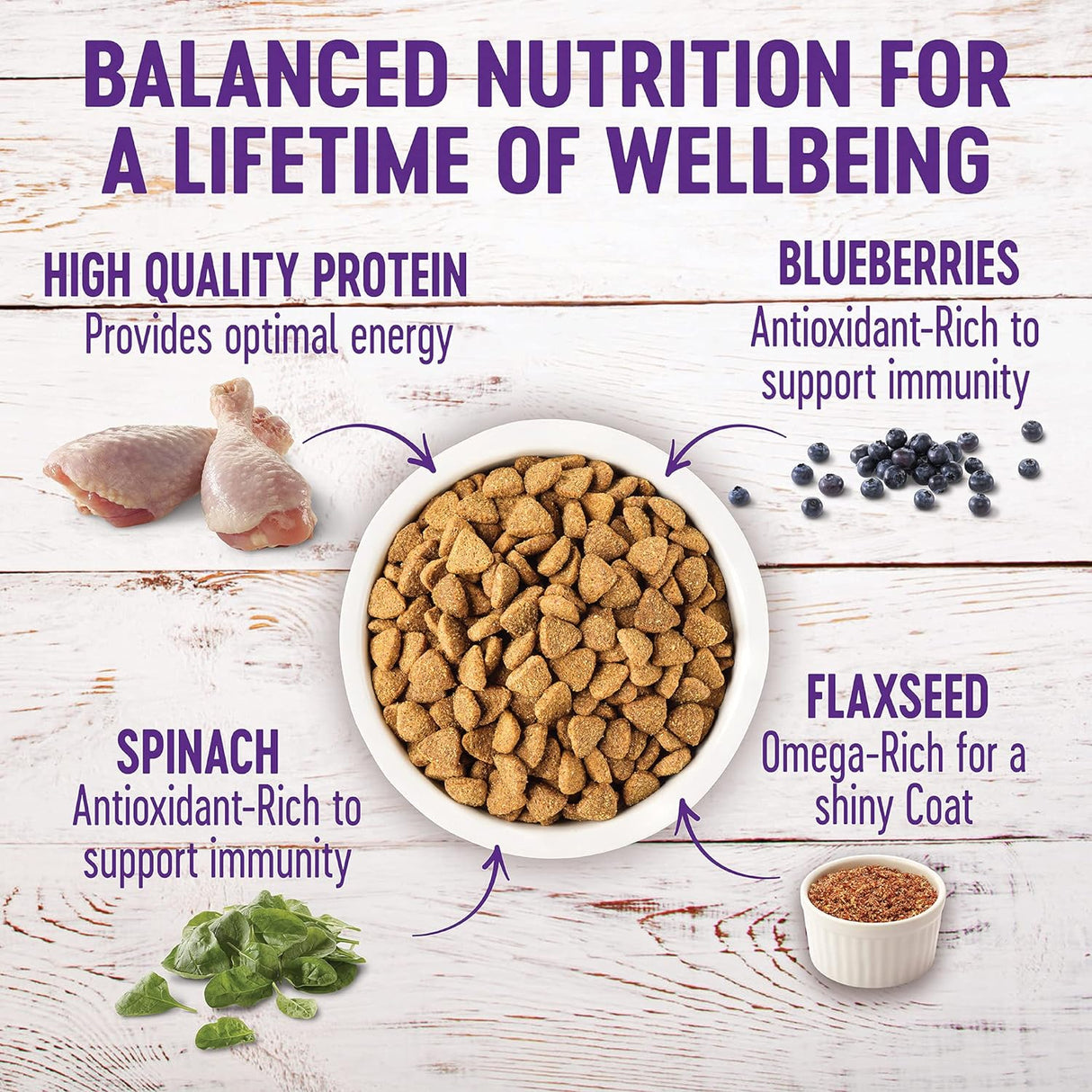 Alimento seco natural para perro, Wellness Complete Health