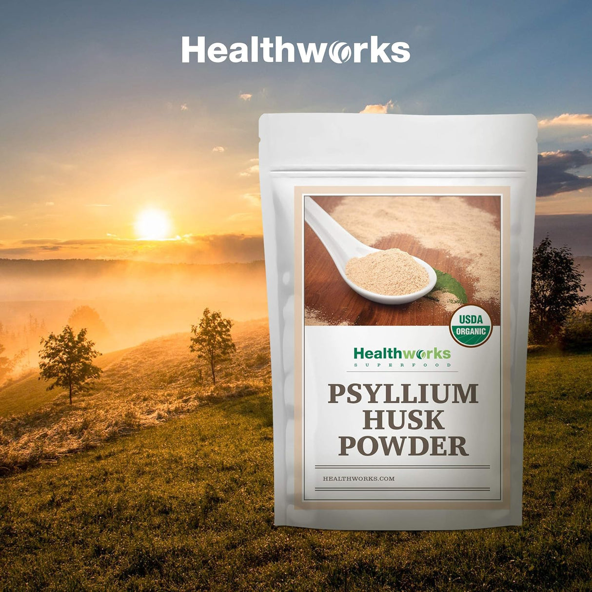 Polvo de Cáscara de Psyllium