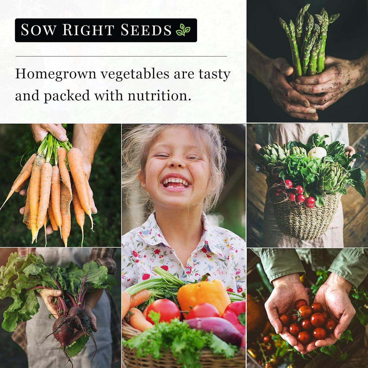 Mezcla de Semillas de Remolacha - Sow Right Seeds - No GMO