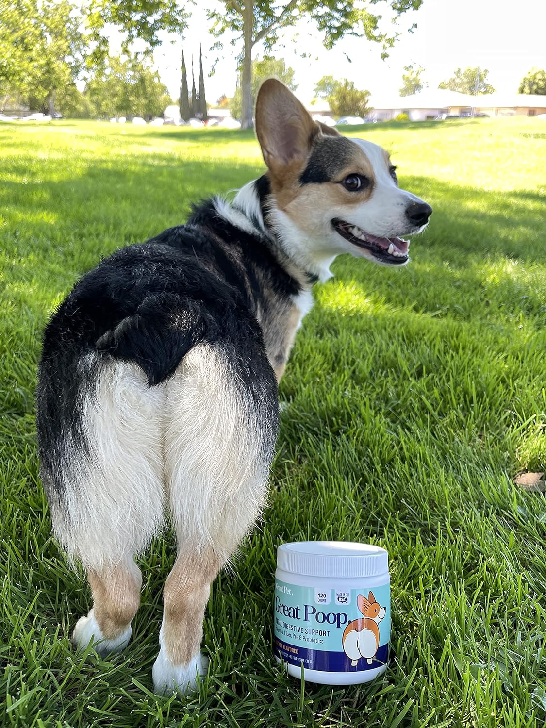 Probióticos para perros y gatos suplemento fibra y enzimas