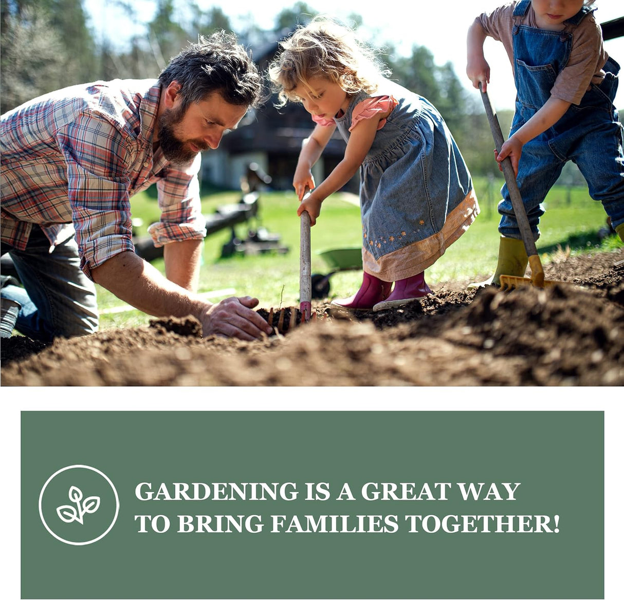 Mezcla de Semillas de Remolacha - Sow Right Seeds - No GMO