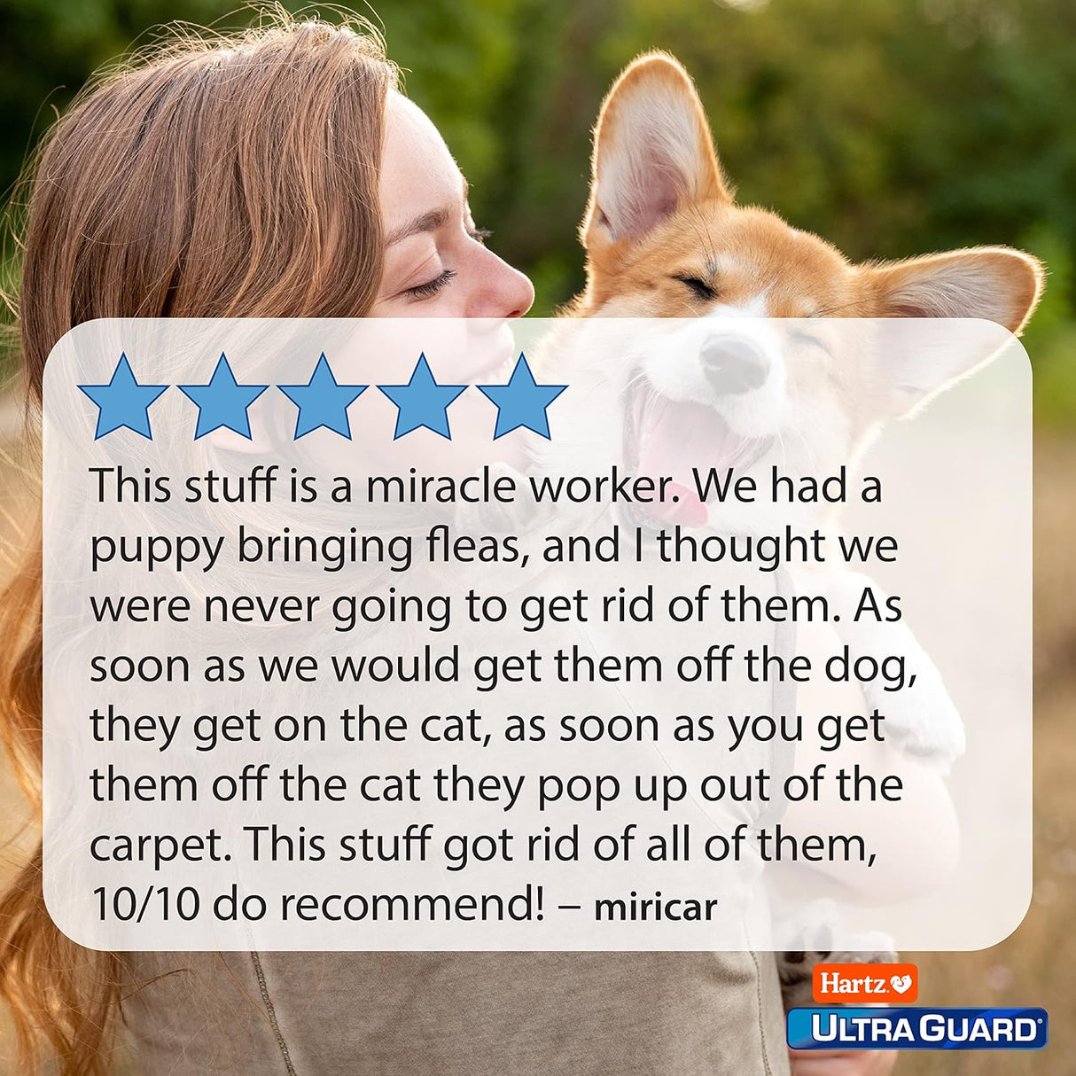 Hartz UltraGuard Plus Spray, mata pulgas y garrapatas, 16 oz