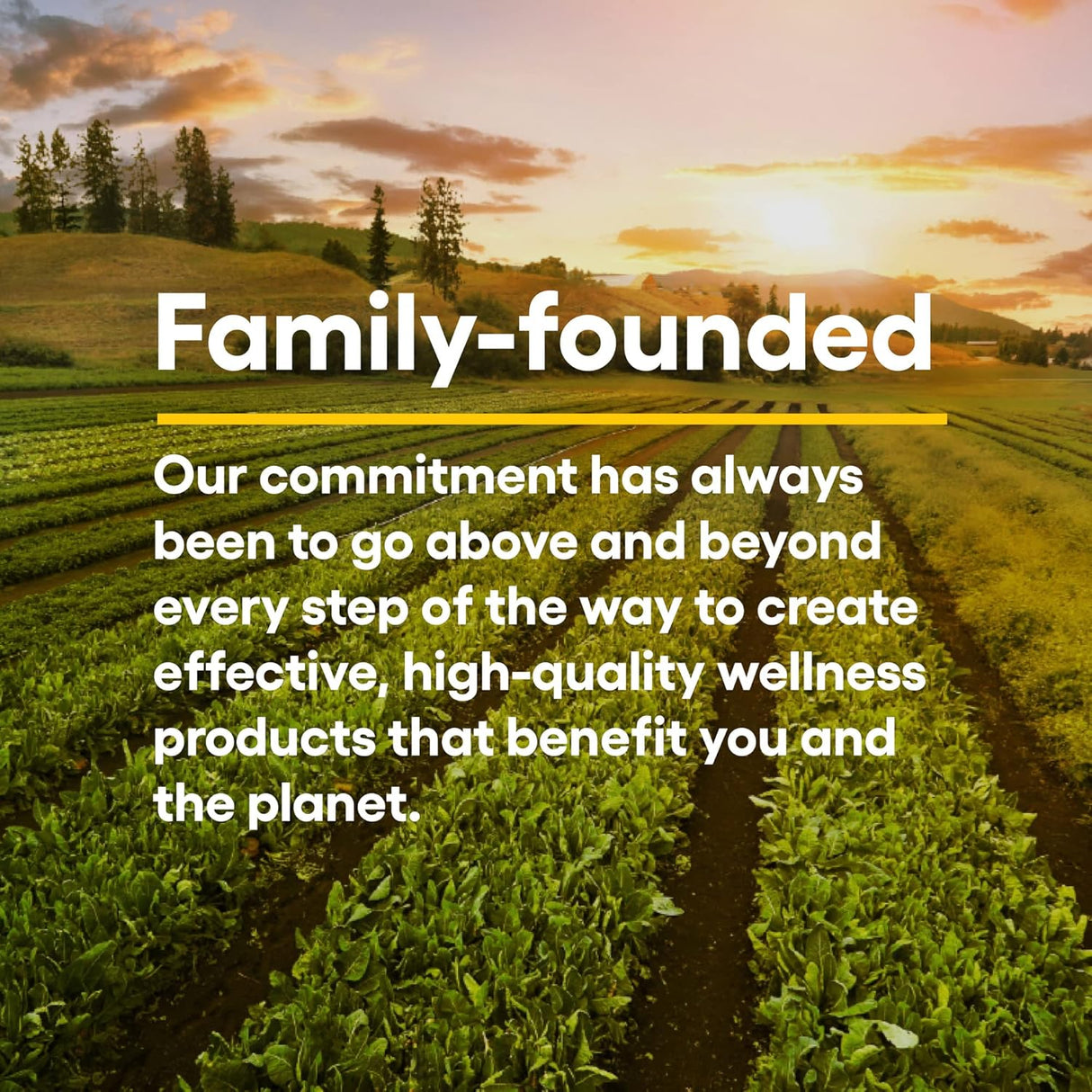 DGL Masticable 400 mg, Extracto de Regaliz, Natural Factors